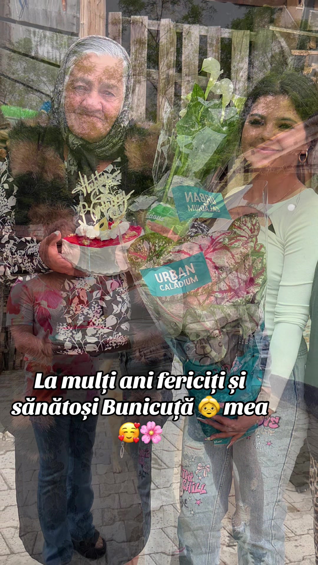 @Schuster Bianca ⚜️🌸💖