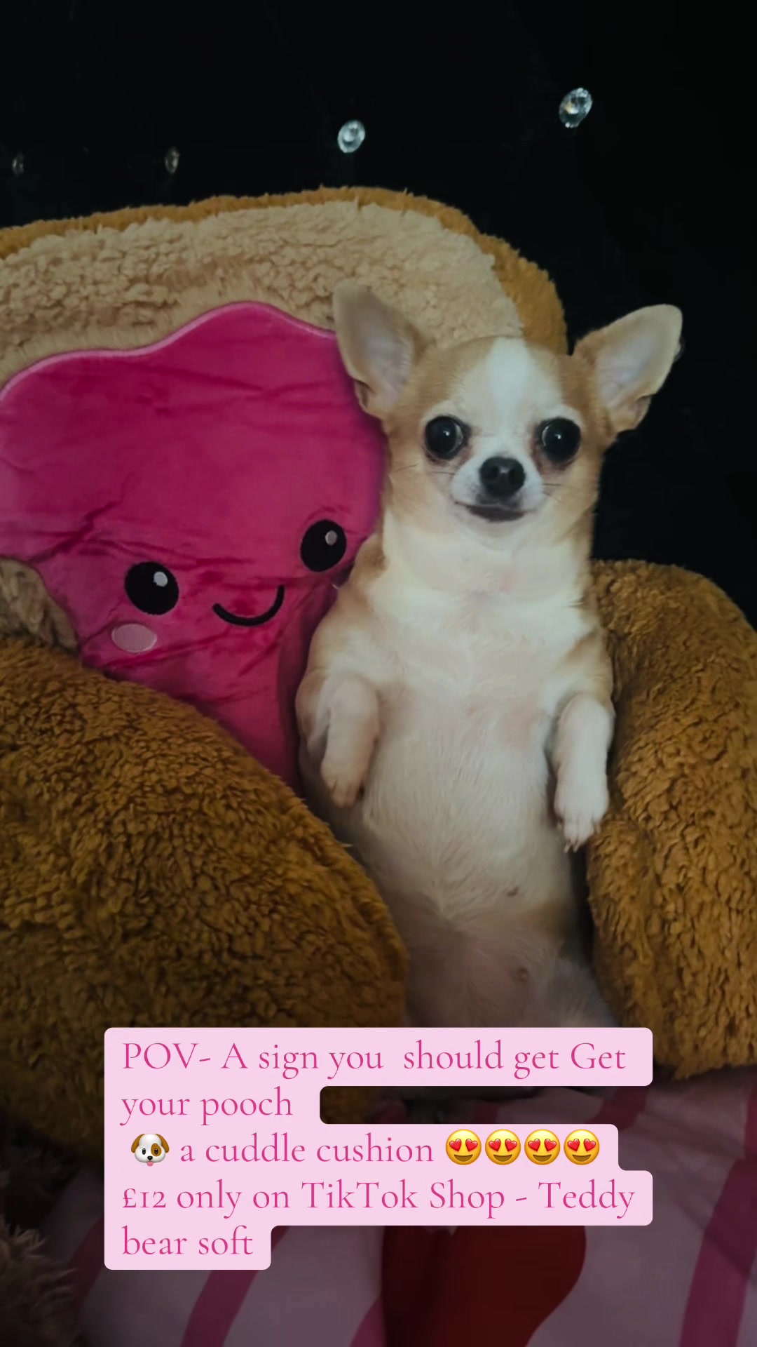 @๐ฌ๐ง๐Tashfendiboss๐๐ฟ๐ฆ