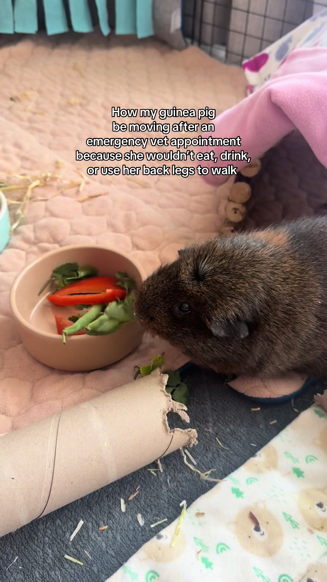 @foodfitnessfrancesca
