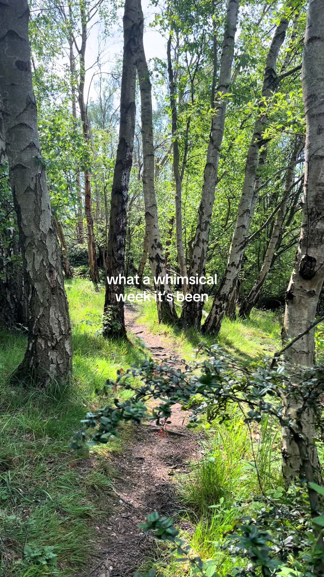 @Julia 🧚♀️💫🌿