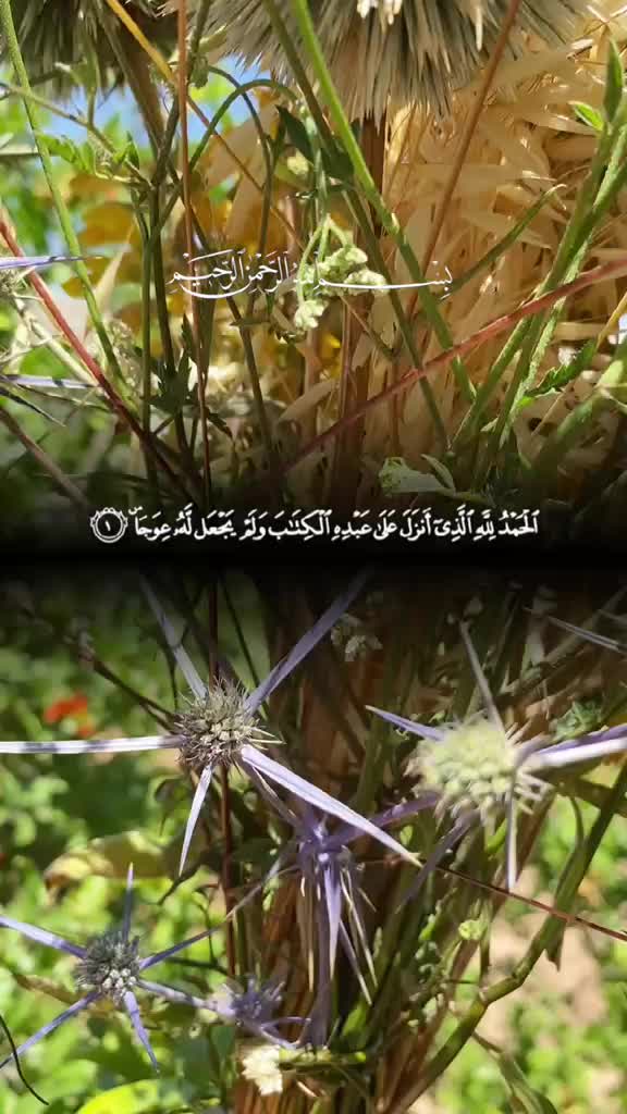 @قرآن كريم