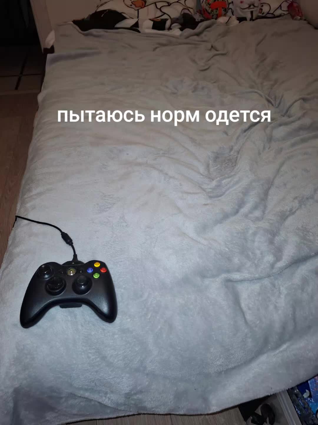 @хомяк | гыф гыф