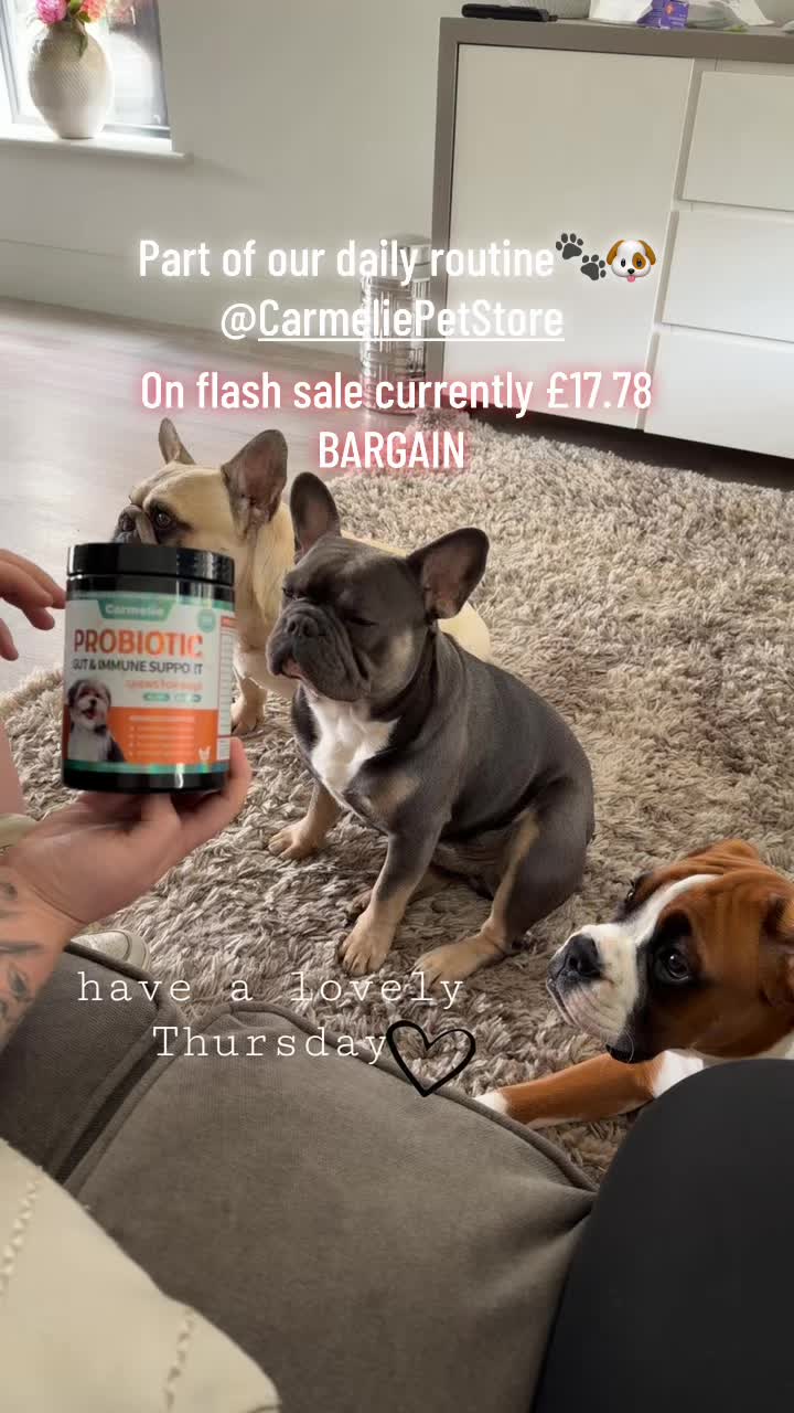 @Tinytalesdaily