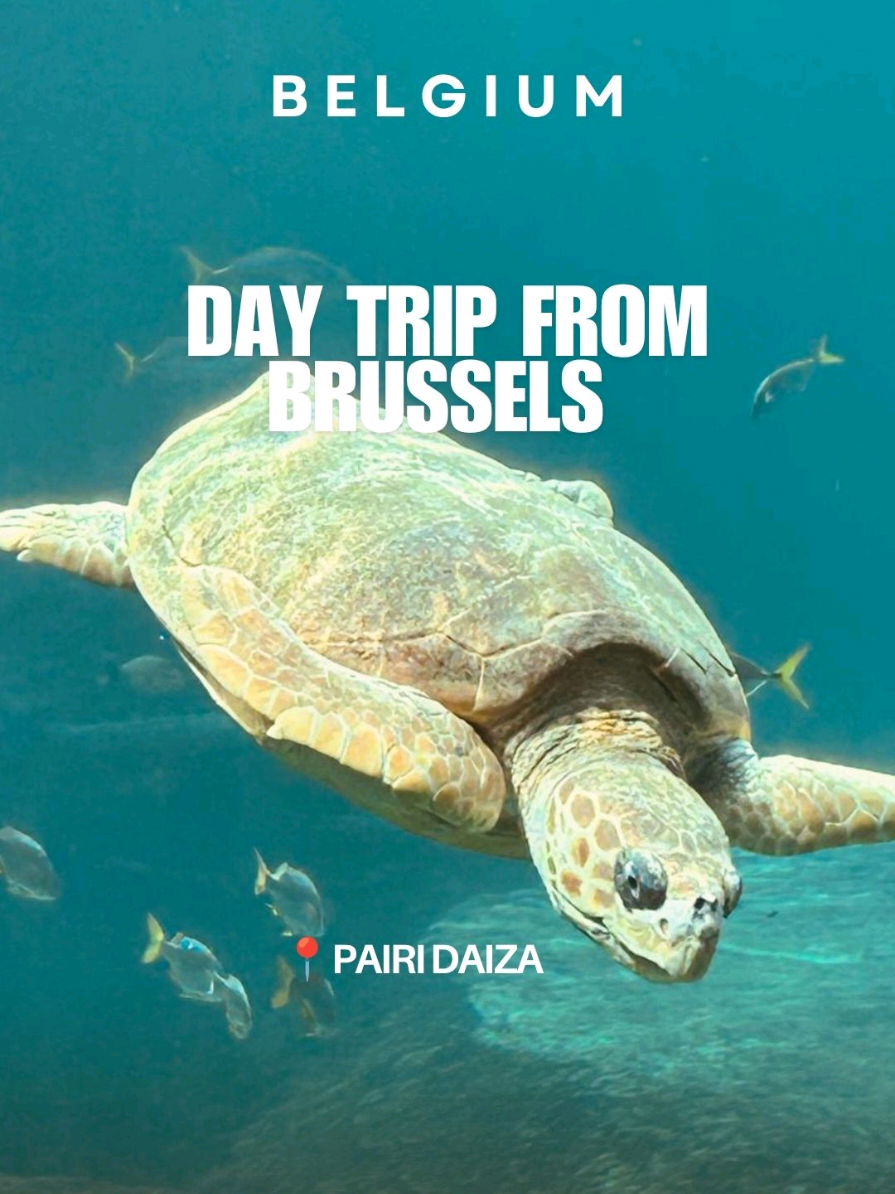 @AURA | TRAVEL