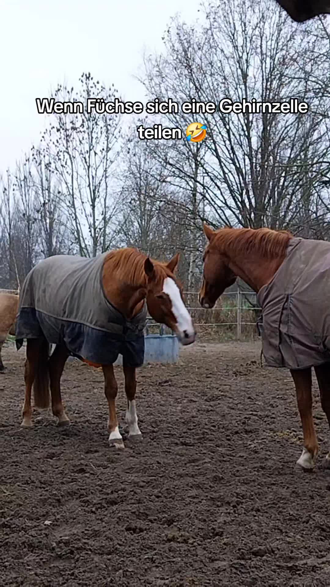 @✨️Jeruscha&Celine✨️