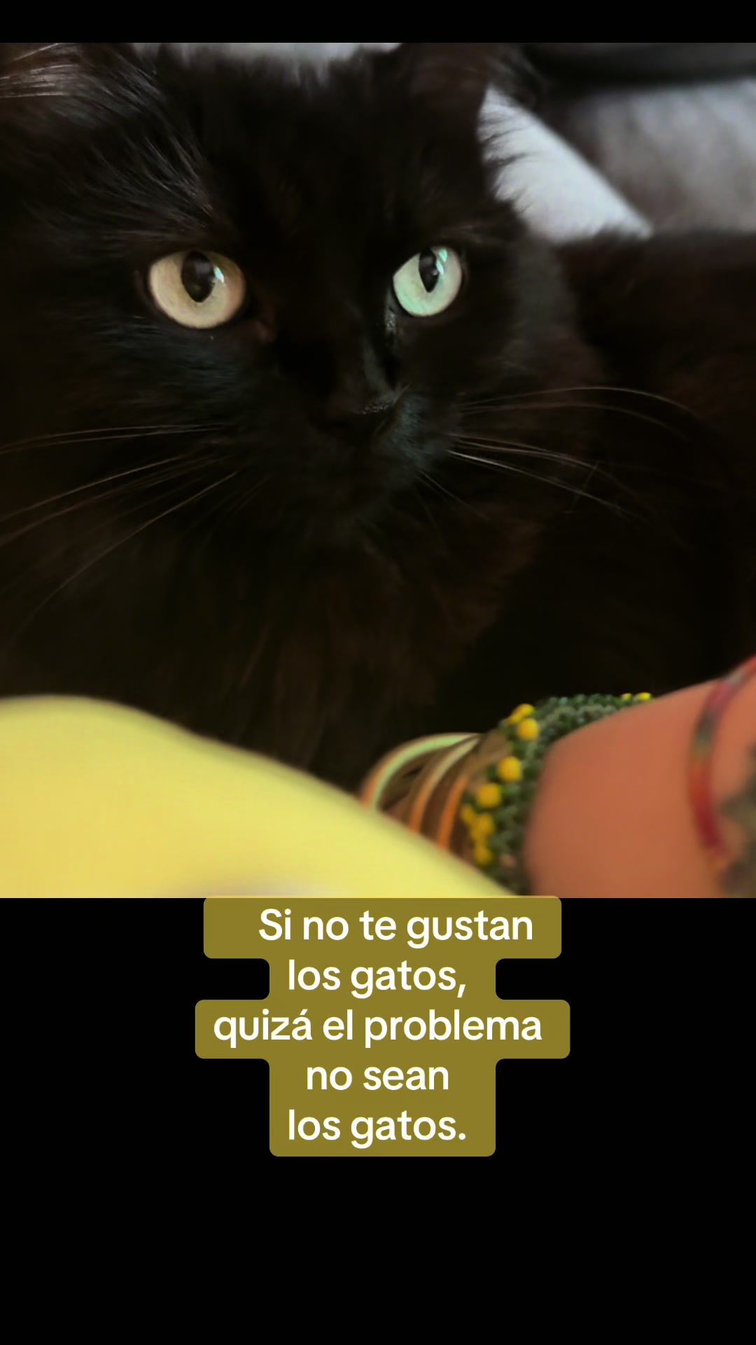 @Mi Yalorde