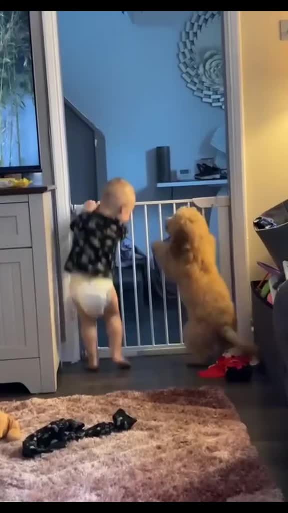 @Funny Cute