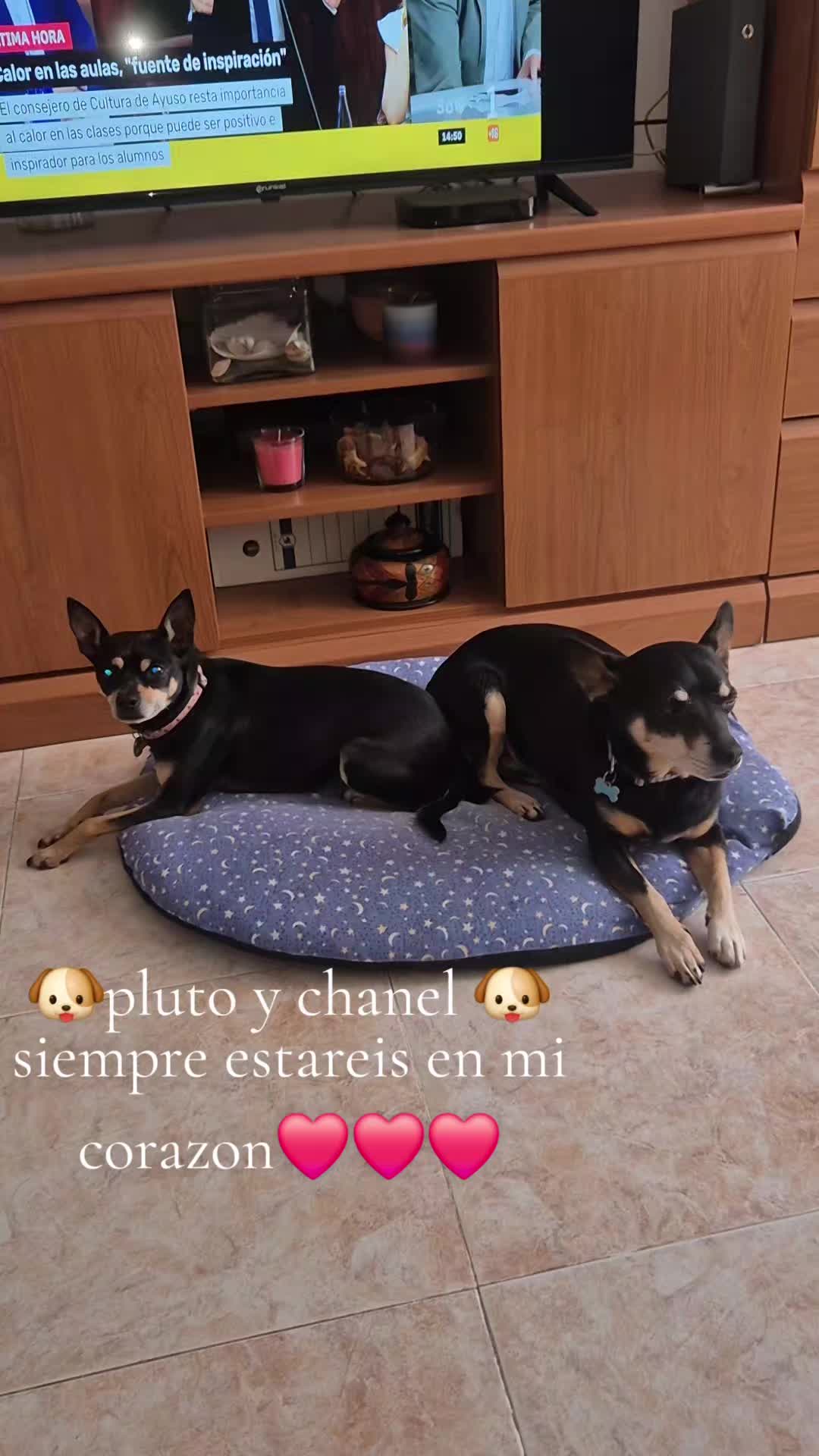 @AntoCM💕