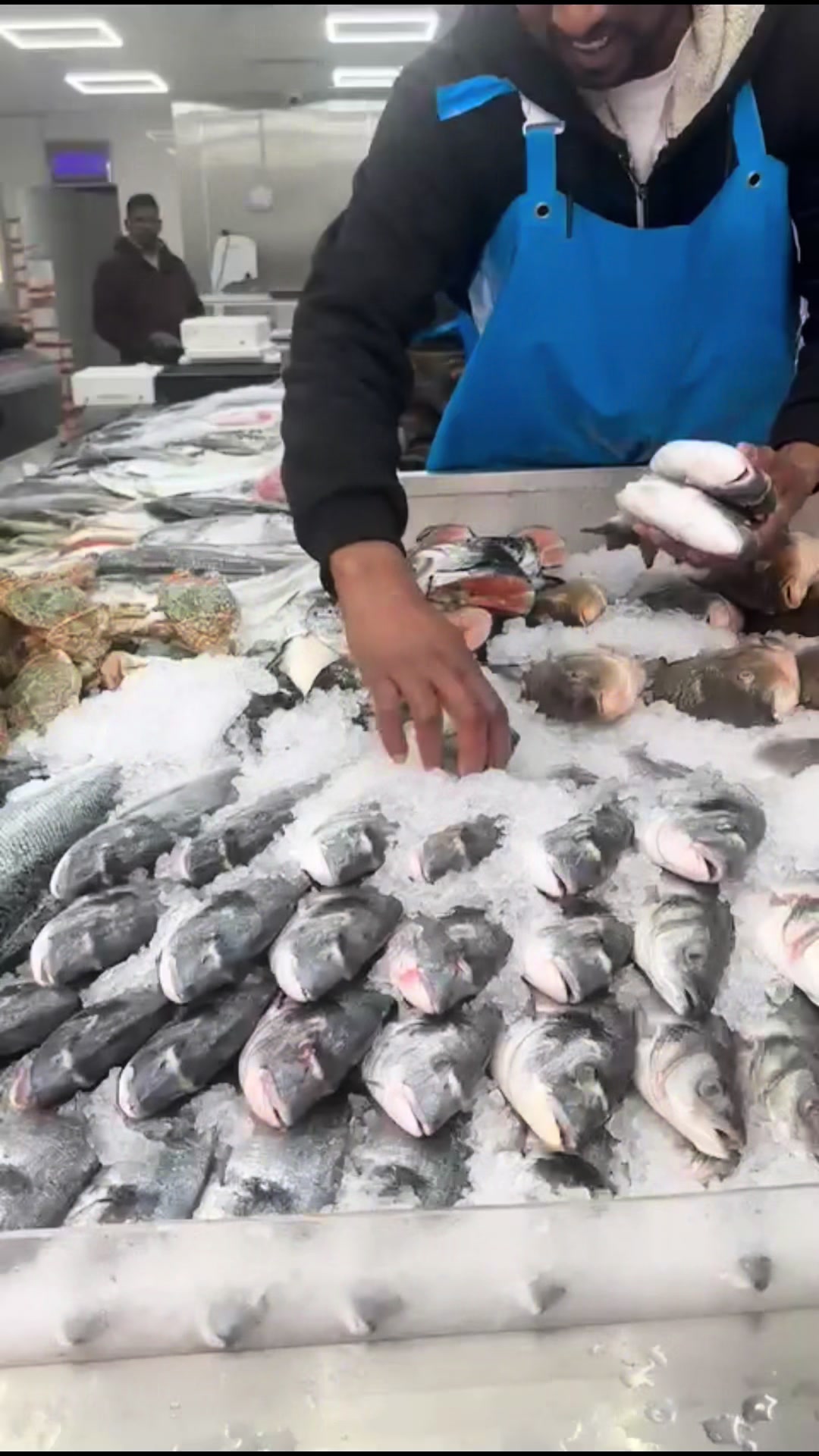 @Fishworld and Halal Meat