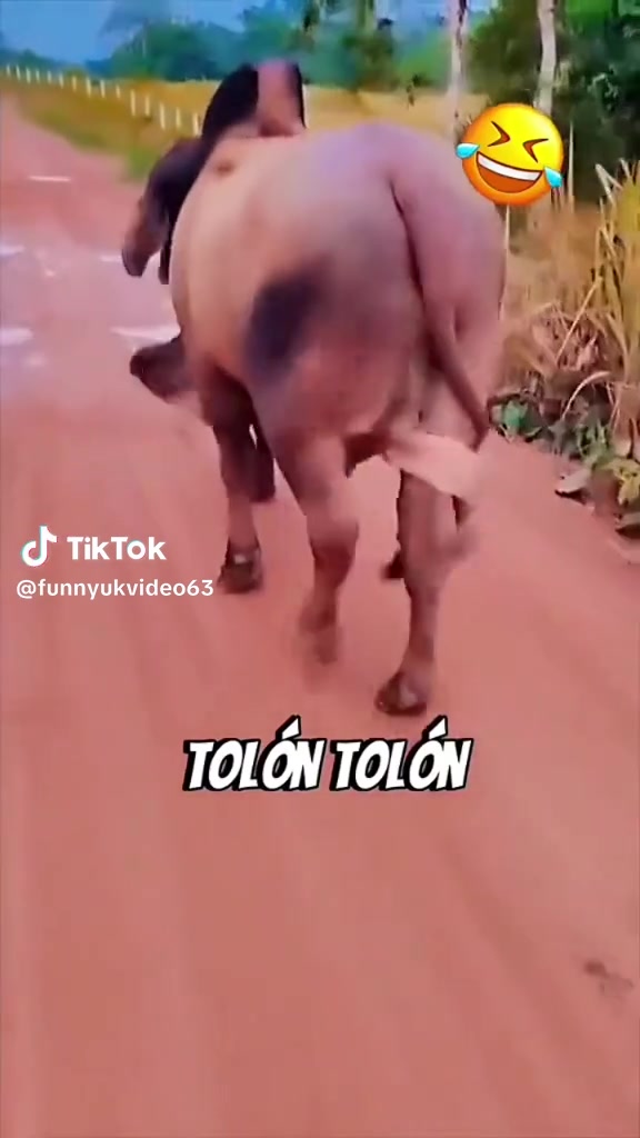 @nasir