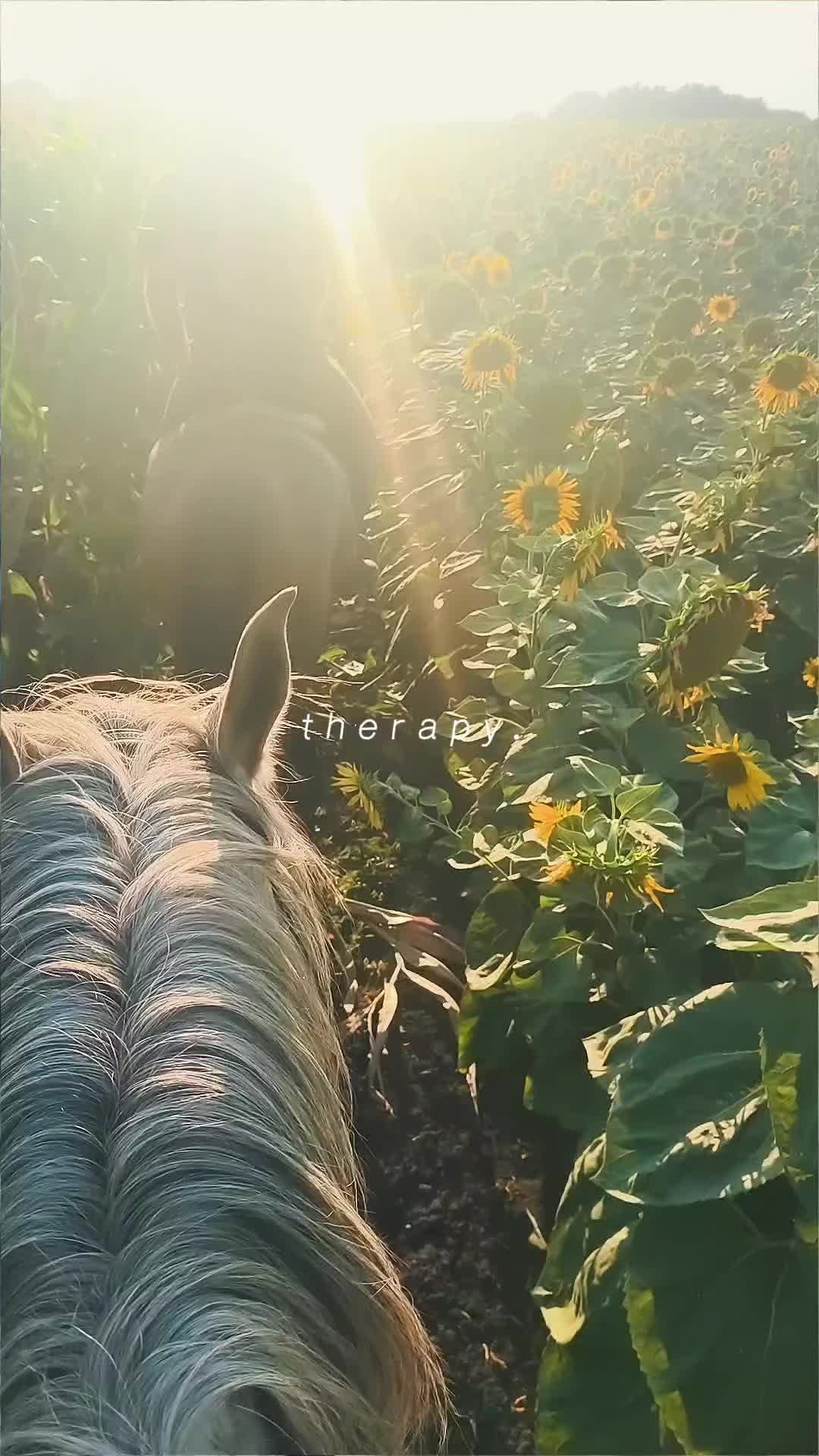 @✨𝓢𝔃𝓪𝓫ó 𝓥𝓲𝓴𝓽ó𝓻𝓲𝓪✨