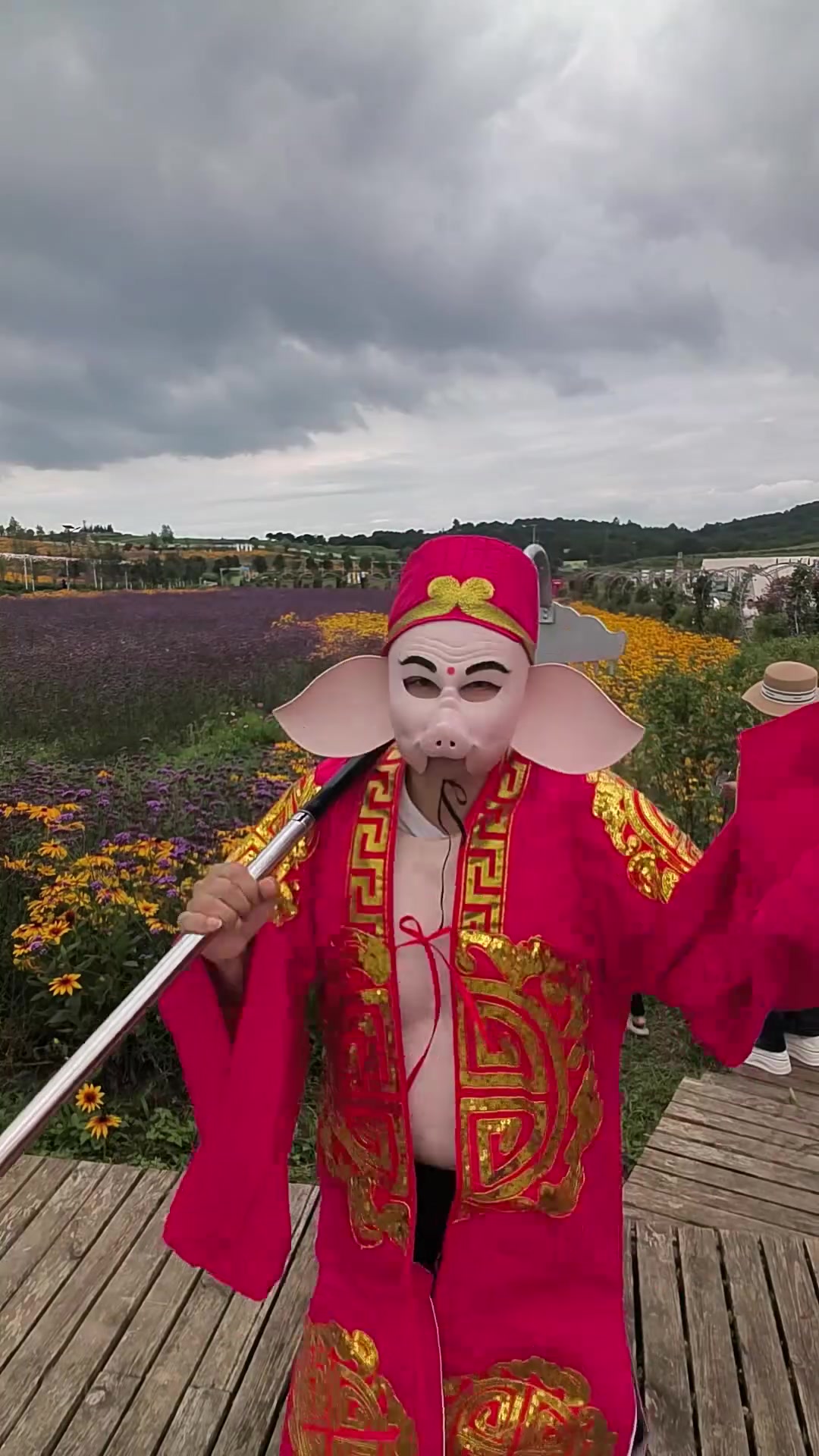 @Journey to the West Pigsy