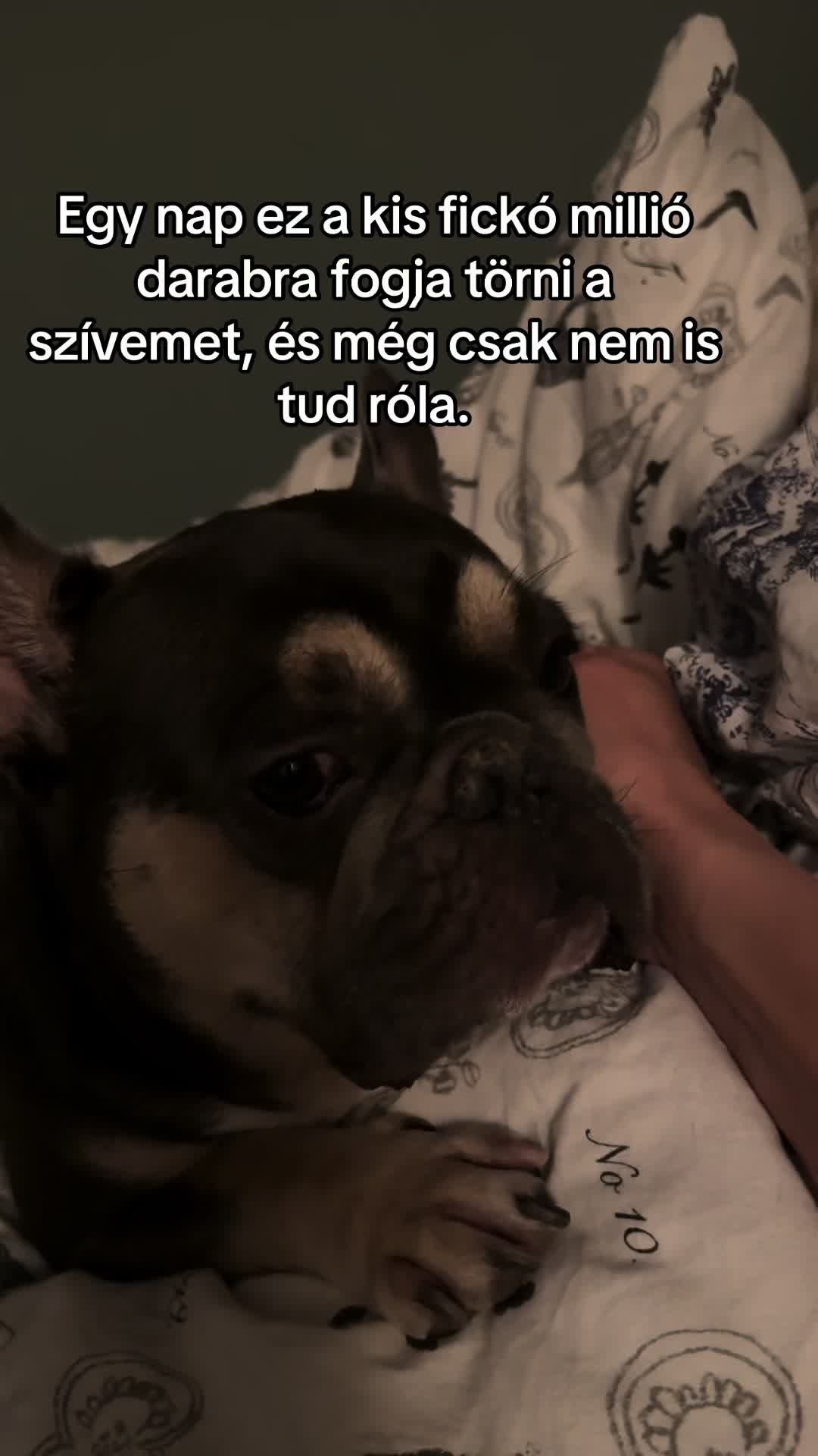 @Zsanzy Taki