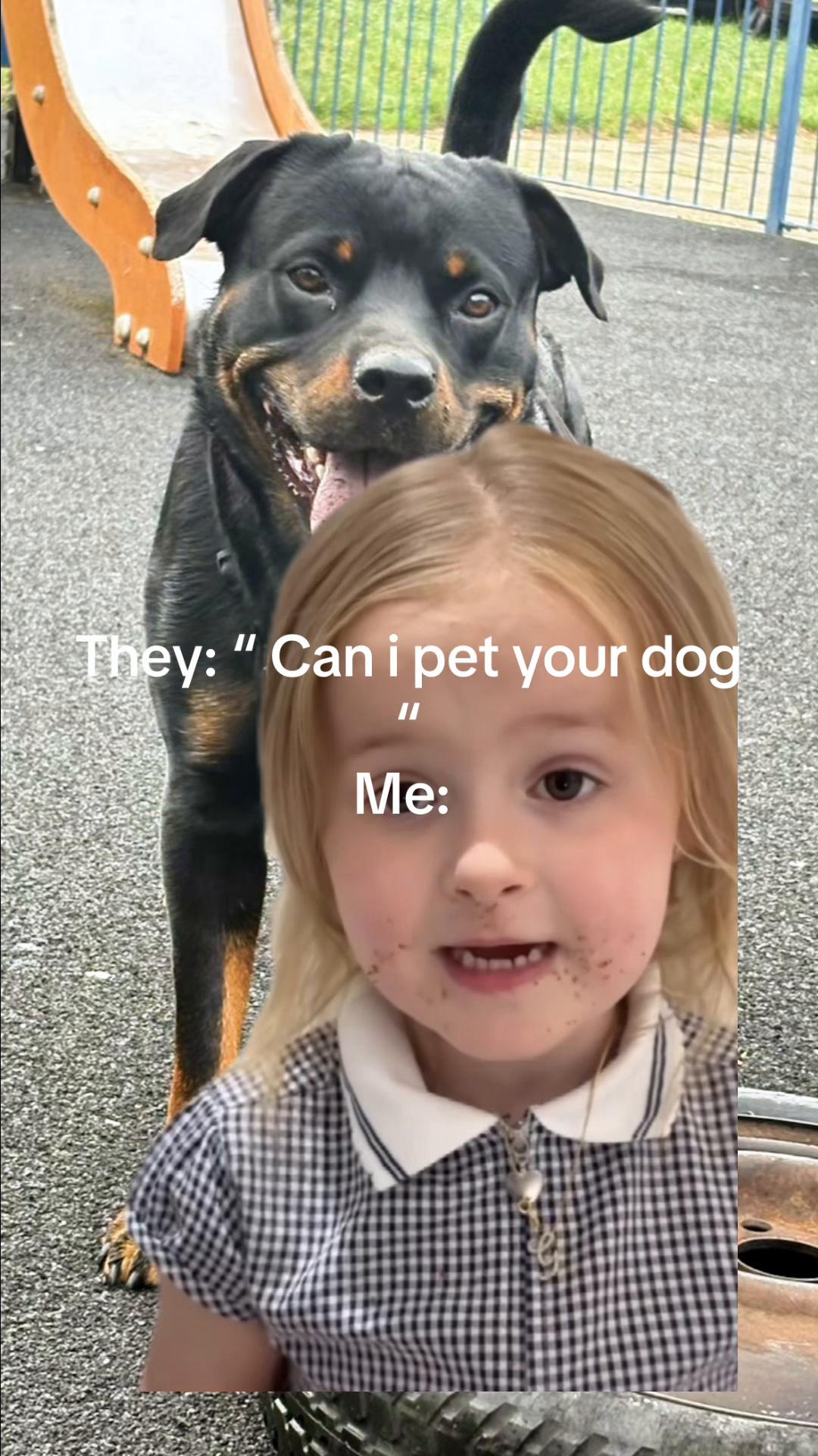 @TheDillyShow