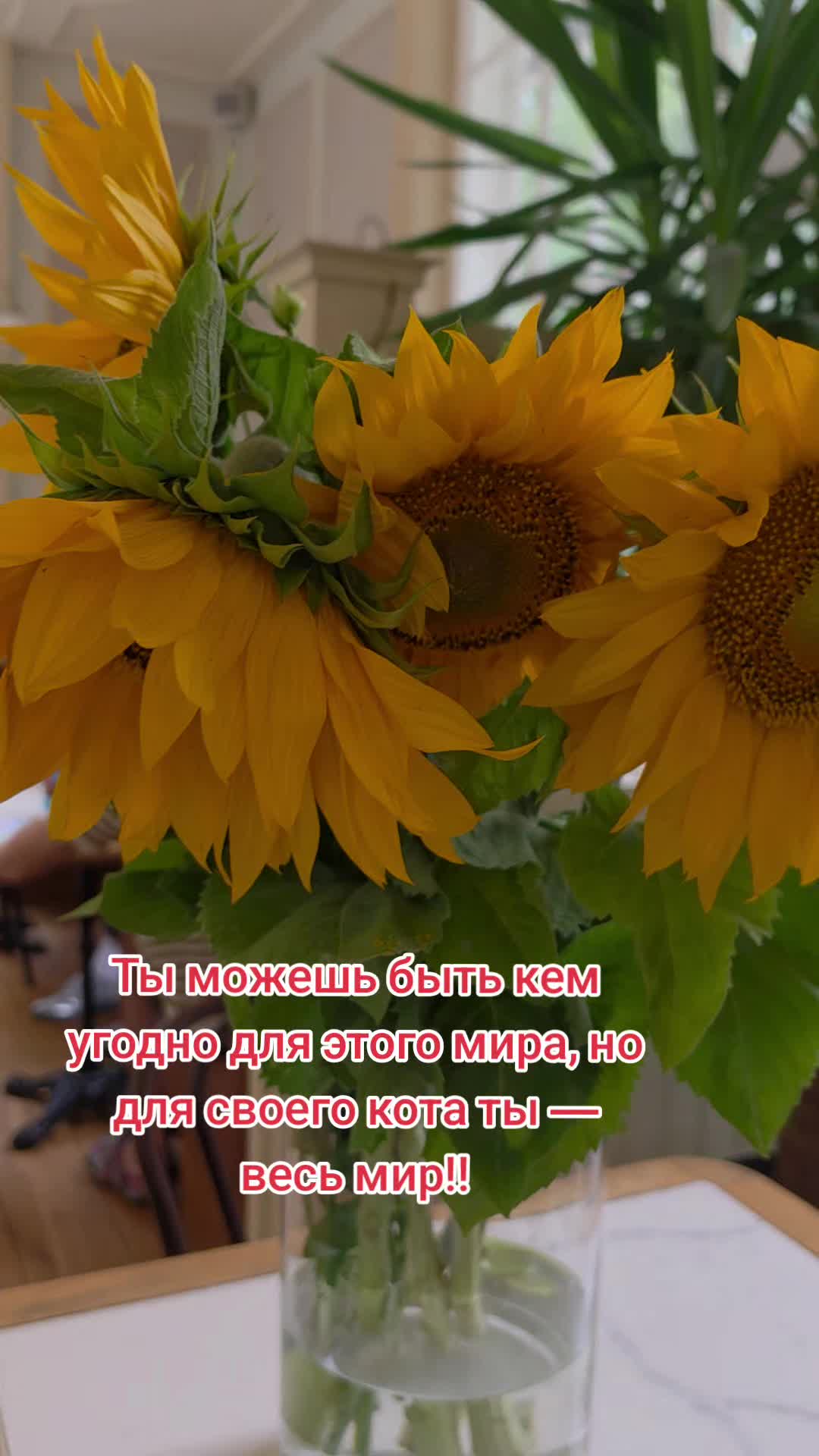 @Inga Lazdāne