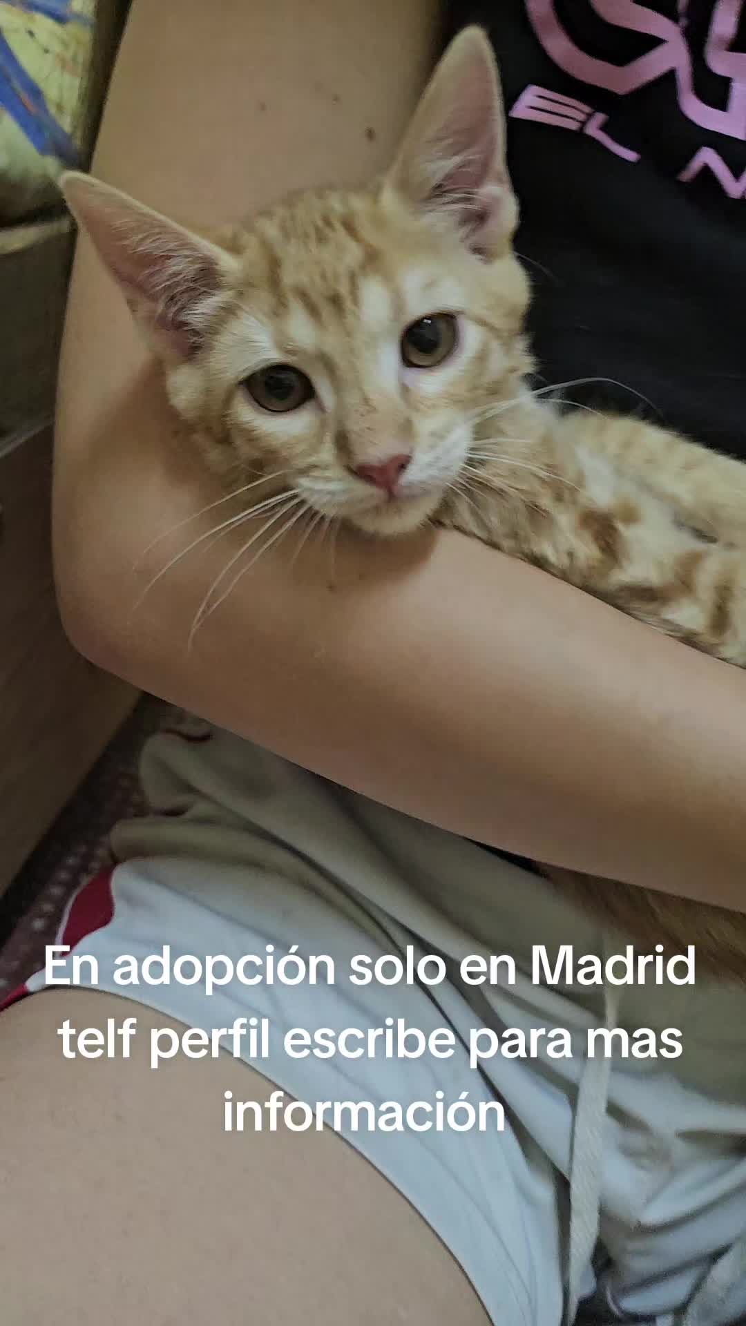 @Ronporsiempre