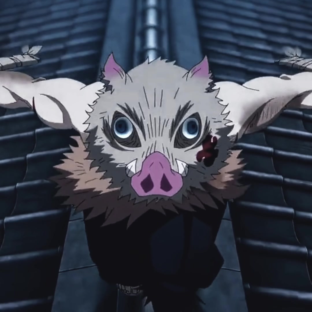 @🦭