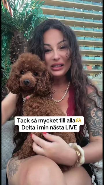 @Nova🦢Anso