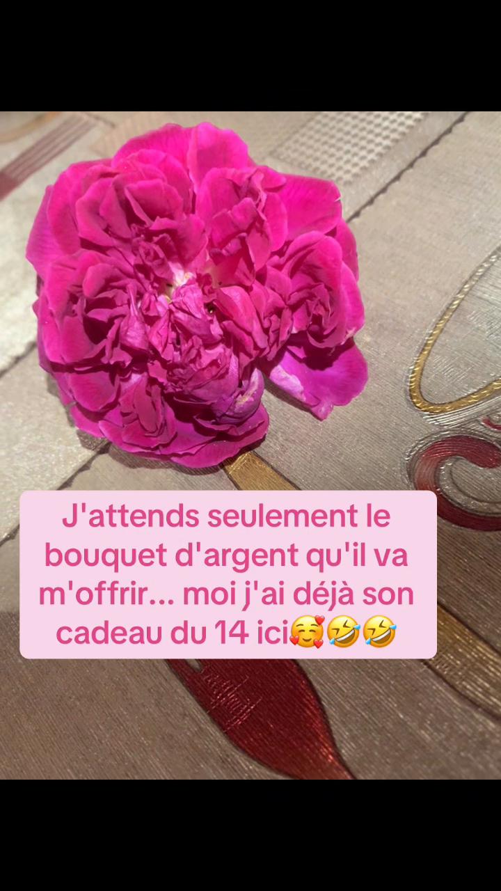 @Elvira~Ateba🌺👸