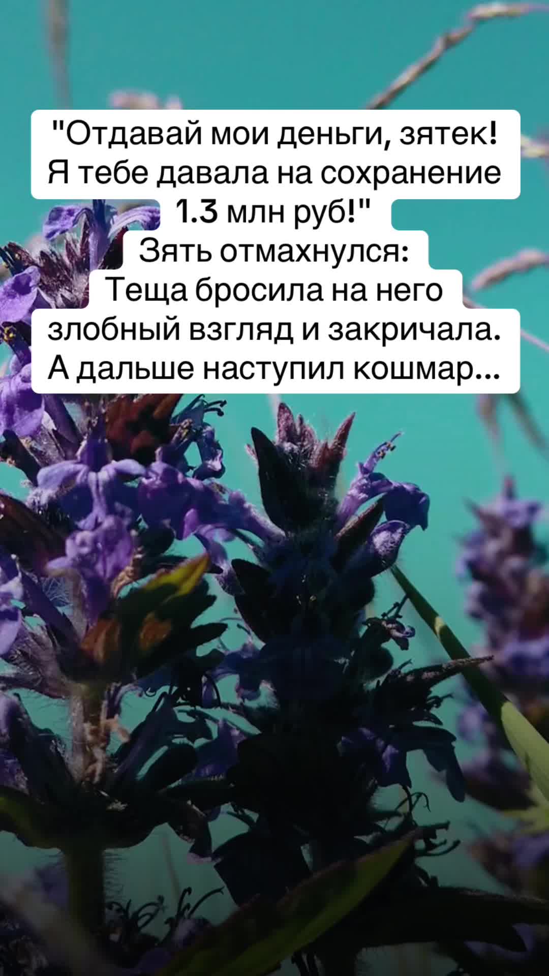 @diana.evlash.story