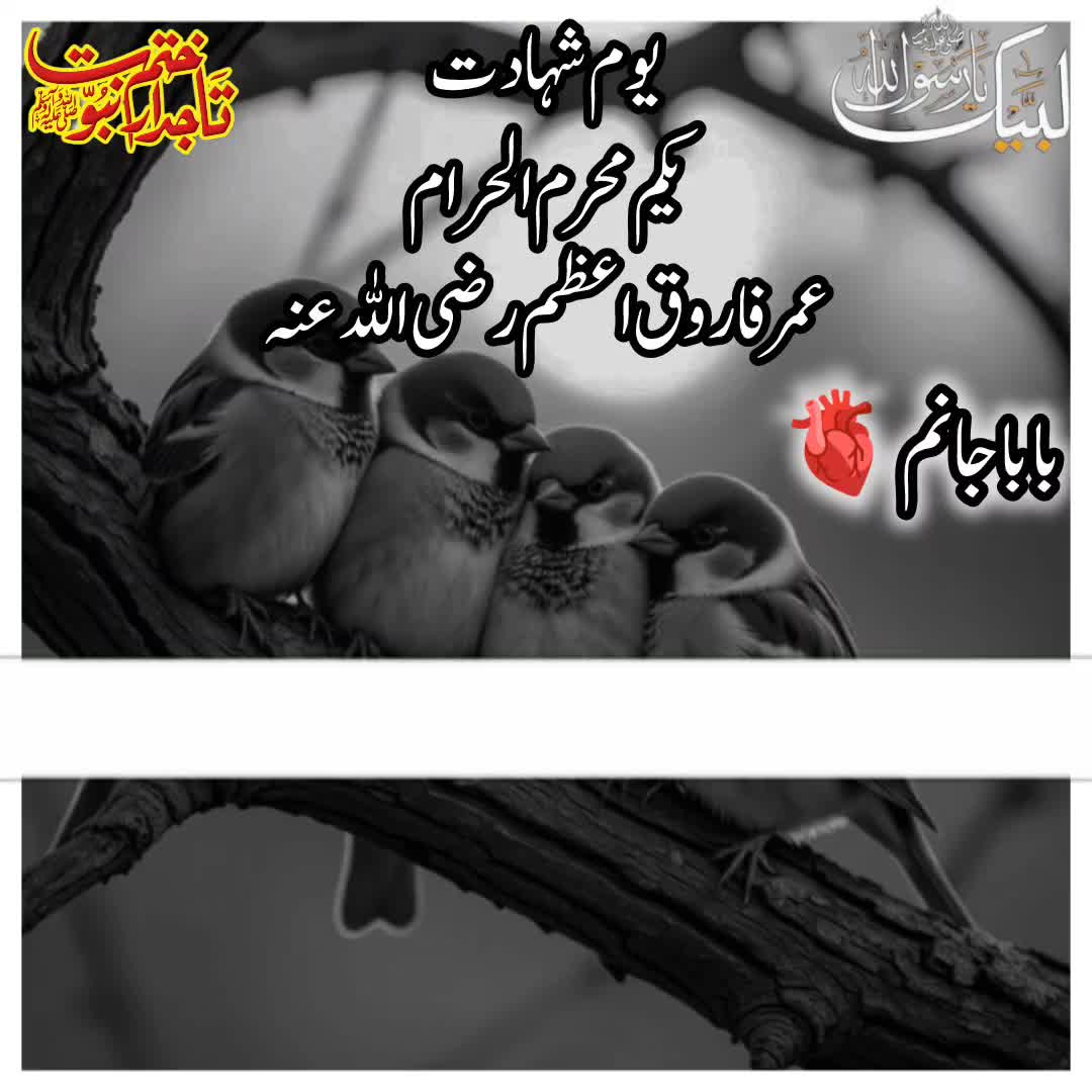 @☝️⭐༄گمنام مجاھد༄⭐💫