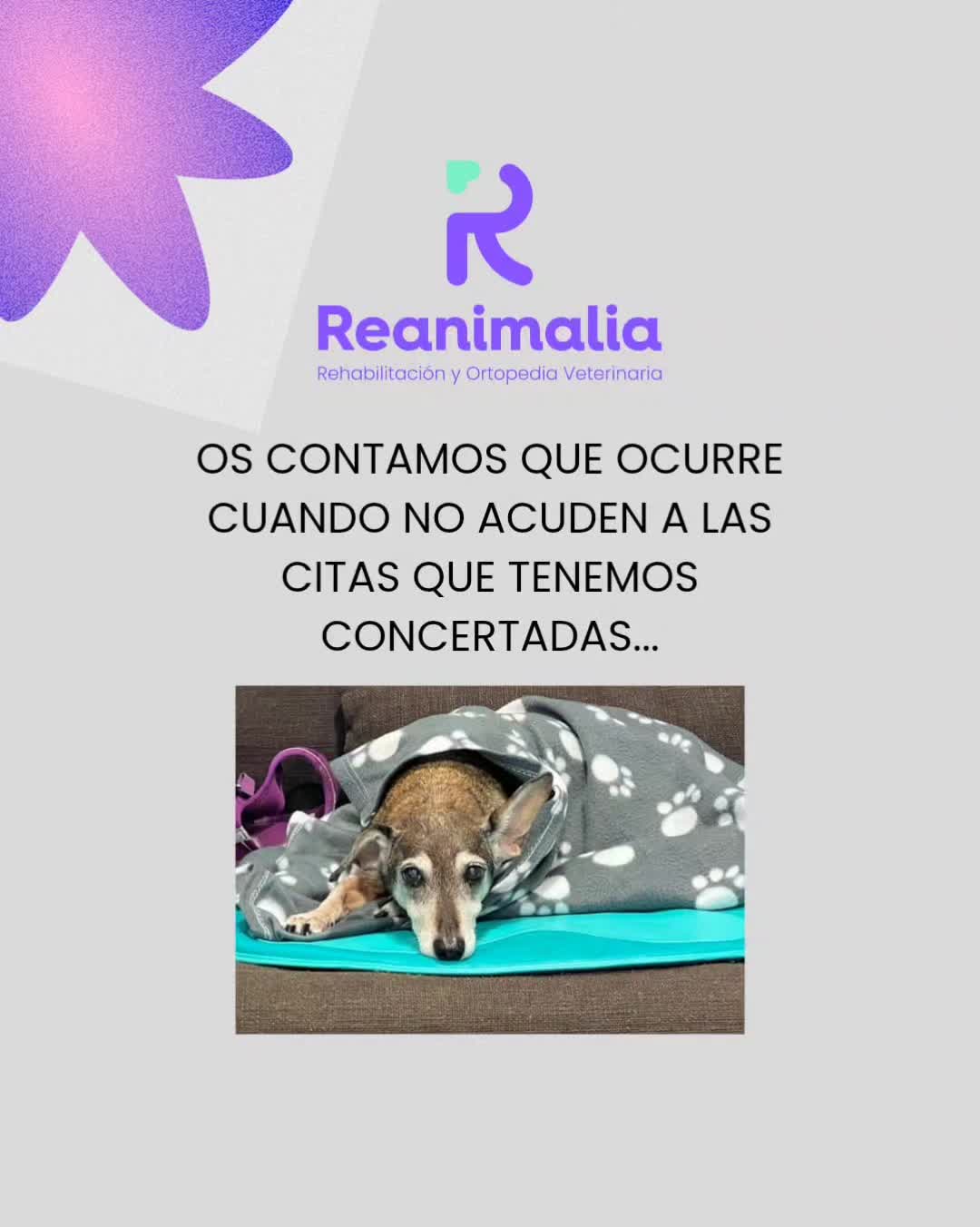 @Reanimalia