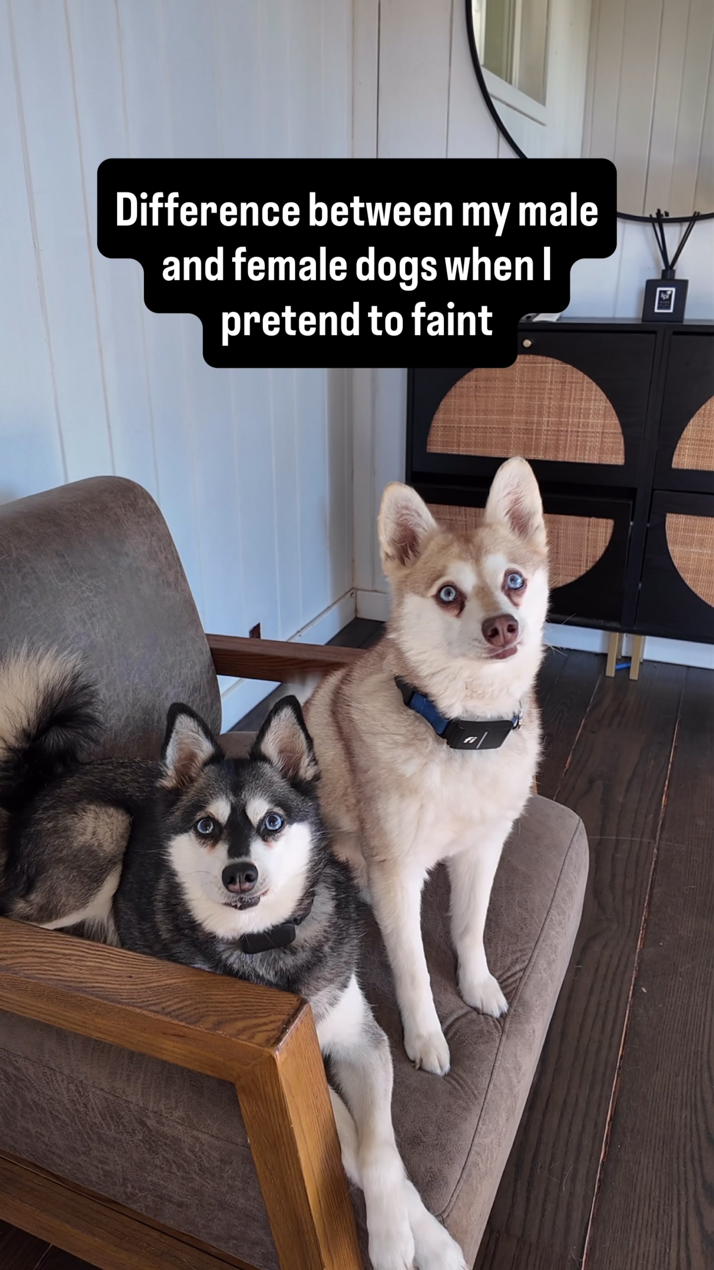 @lifewithkleekai