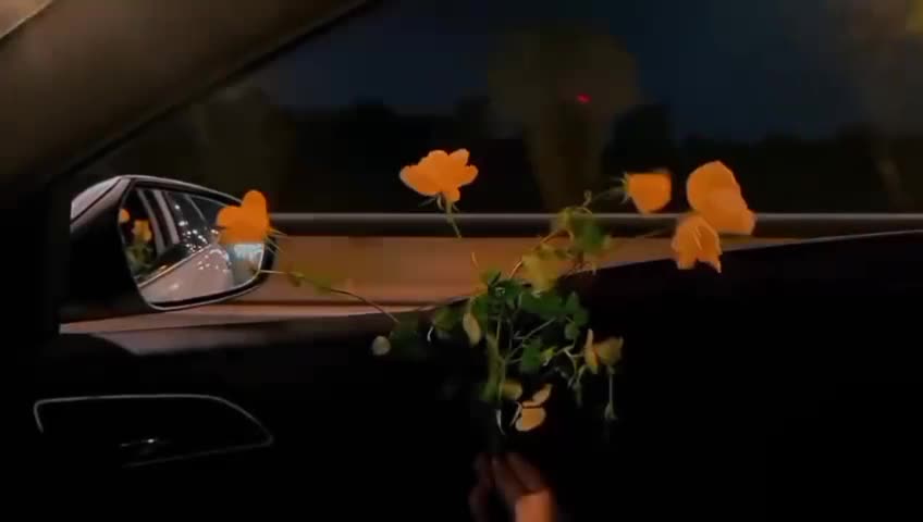 @ashi