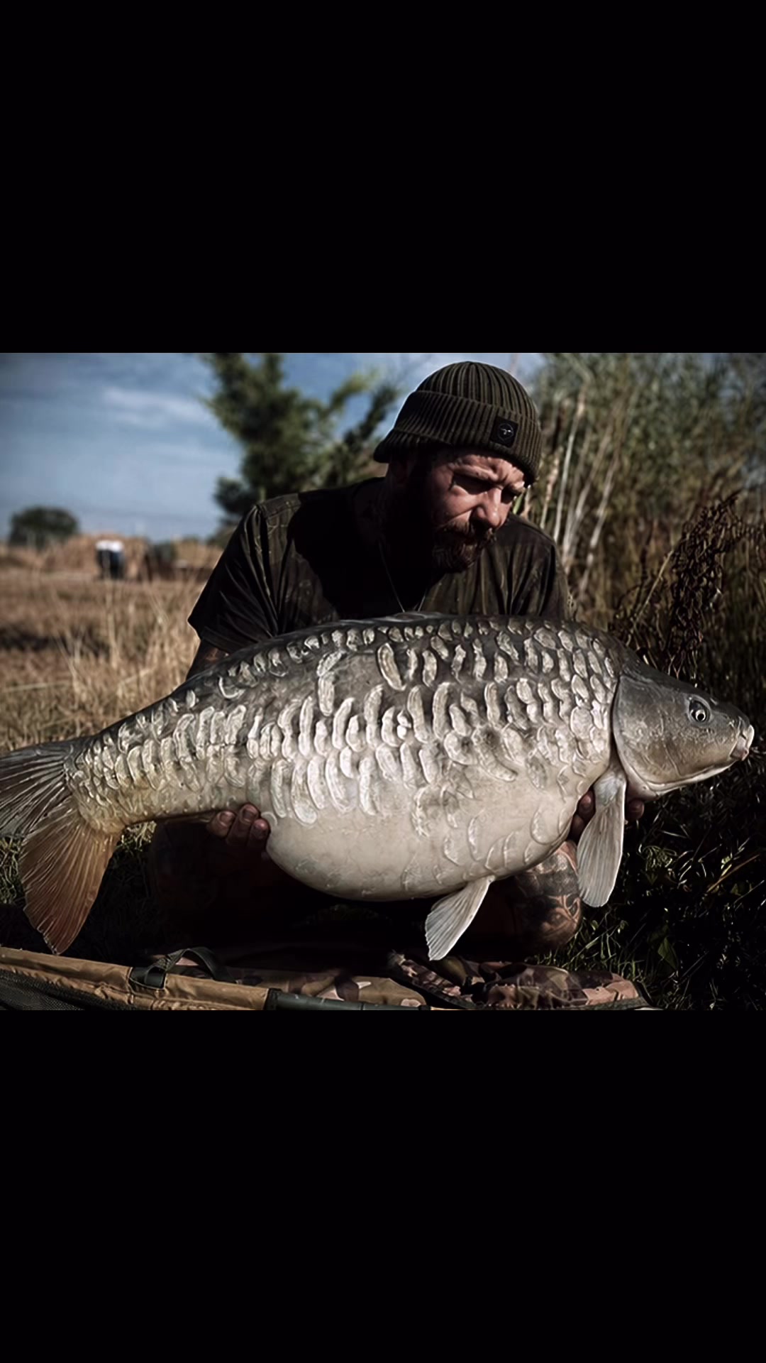 @Ian bank rat davies
