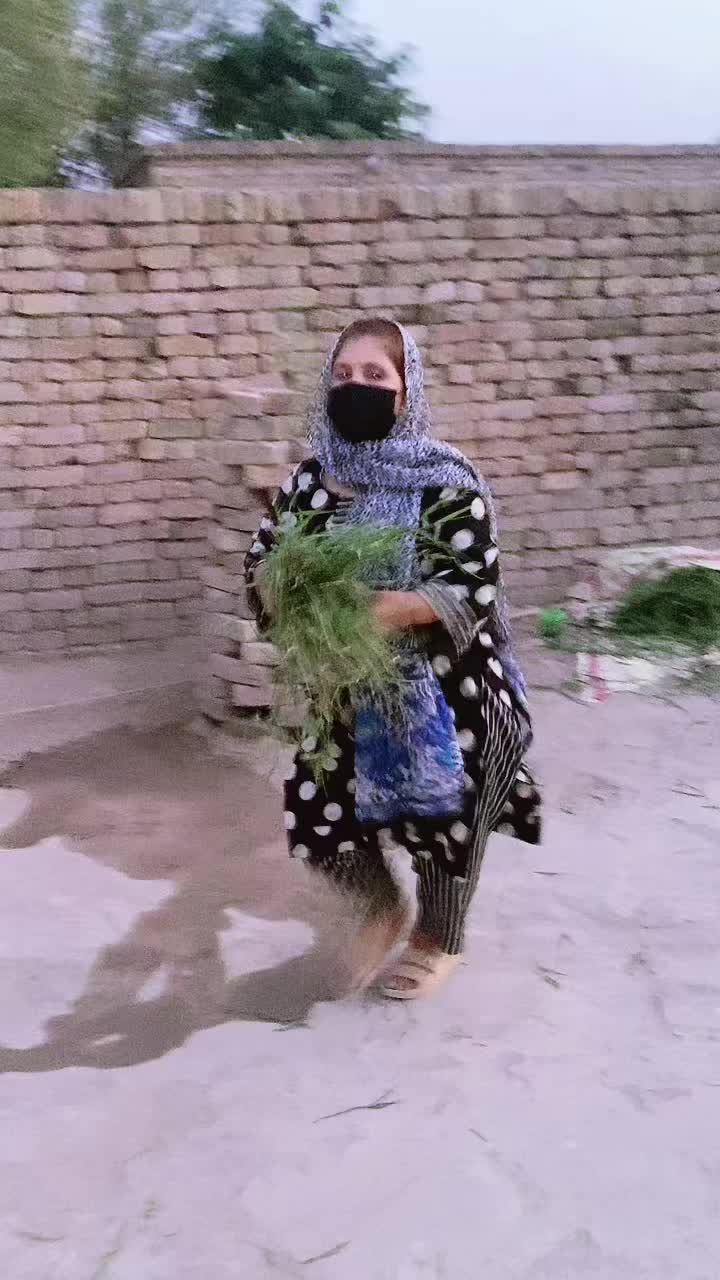 @Shehzadi Butt