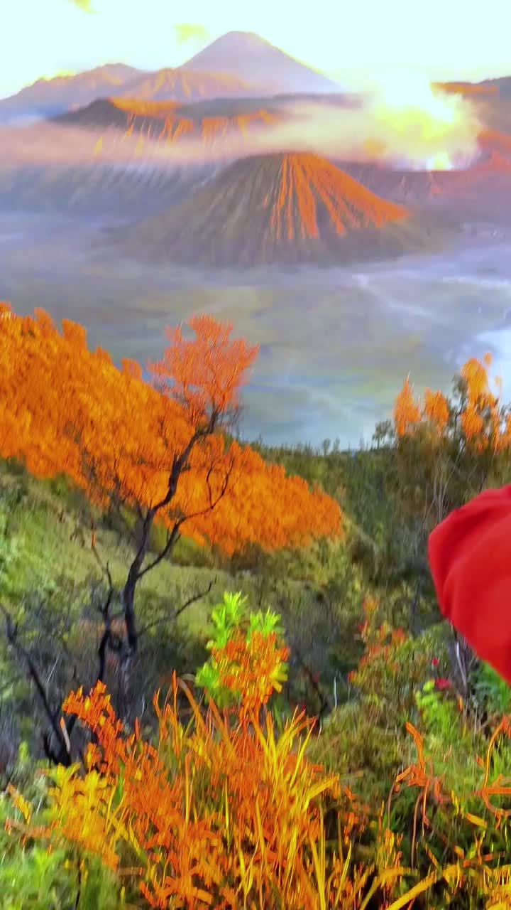 @NatureVibes0