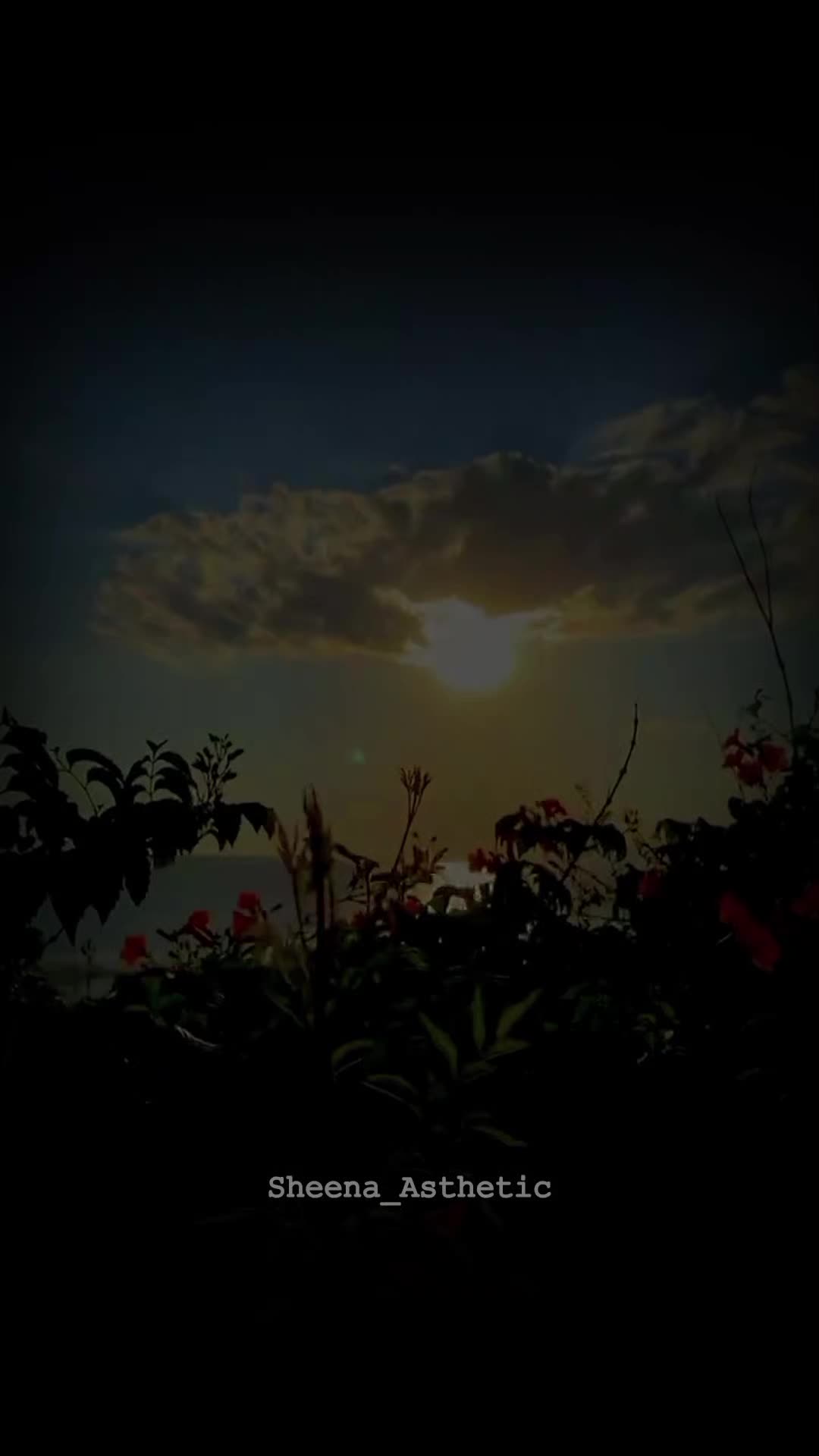 @💞𝓘𝓽𝔁.𝓒𝓪𝓽𝓸💞