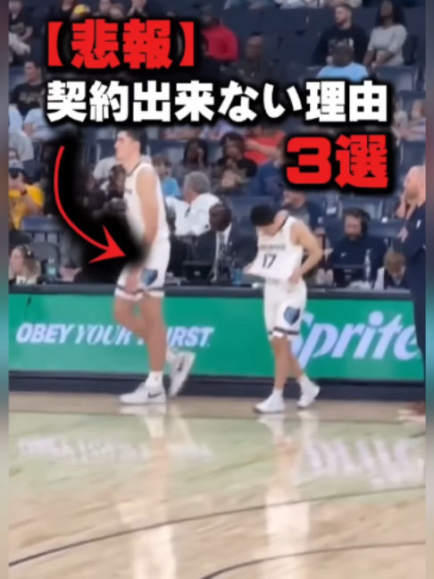 @猫森