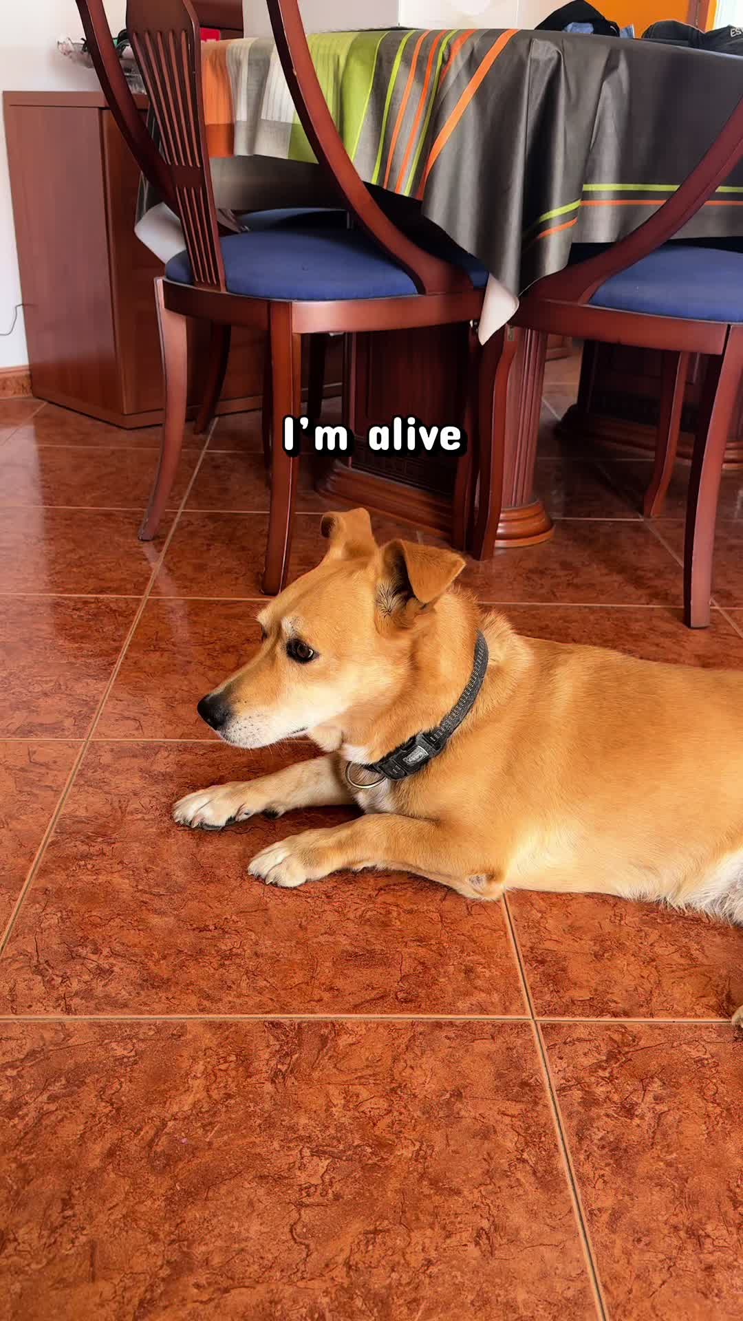 @𝑴𝑨𝑹𝑰𝑨