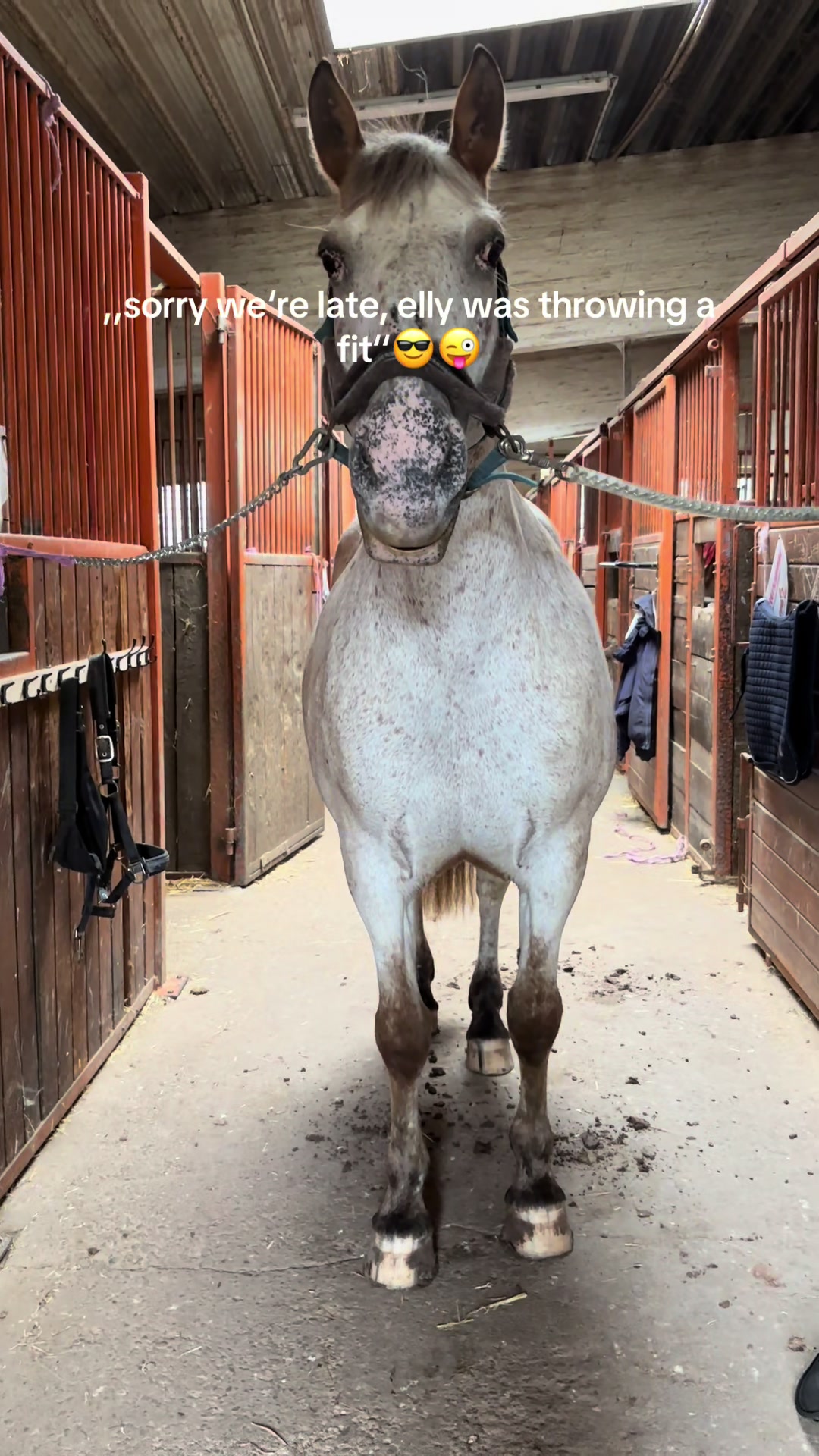 @Kinderreitenfulda