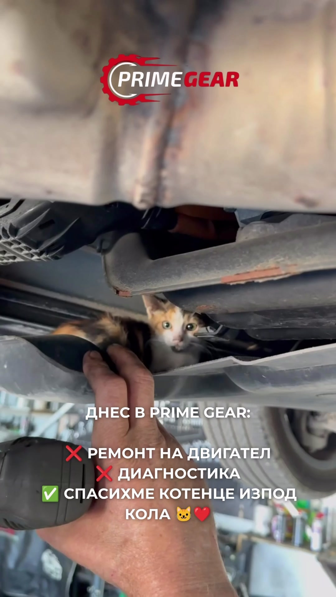 @Автосервиз Варна Prime Gear