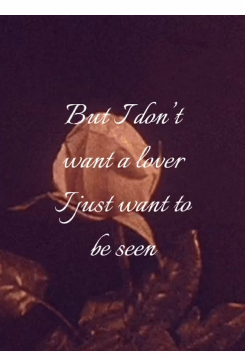 @🎞️swrl⋆