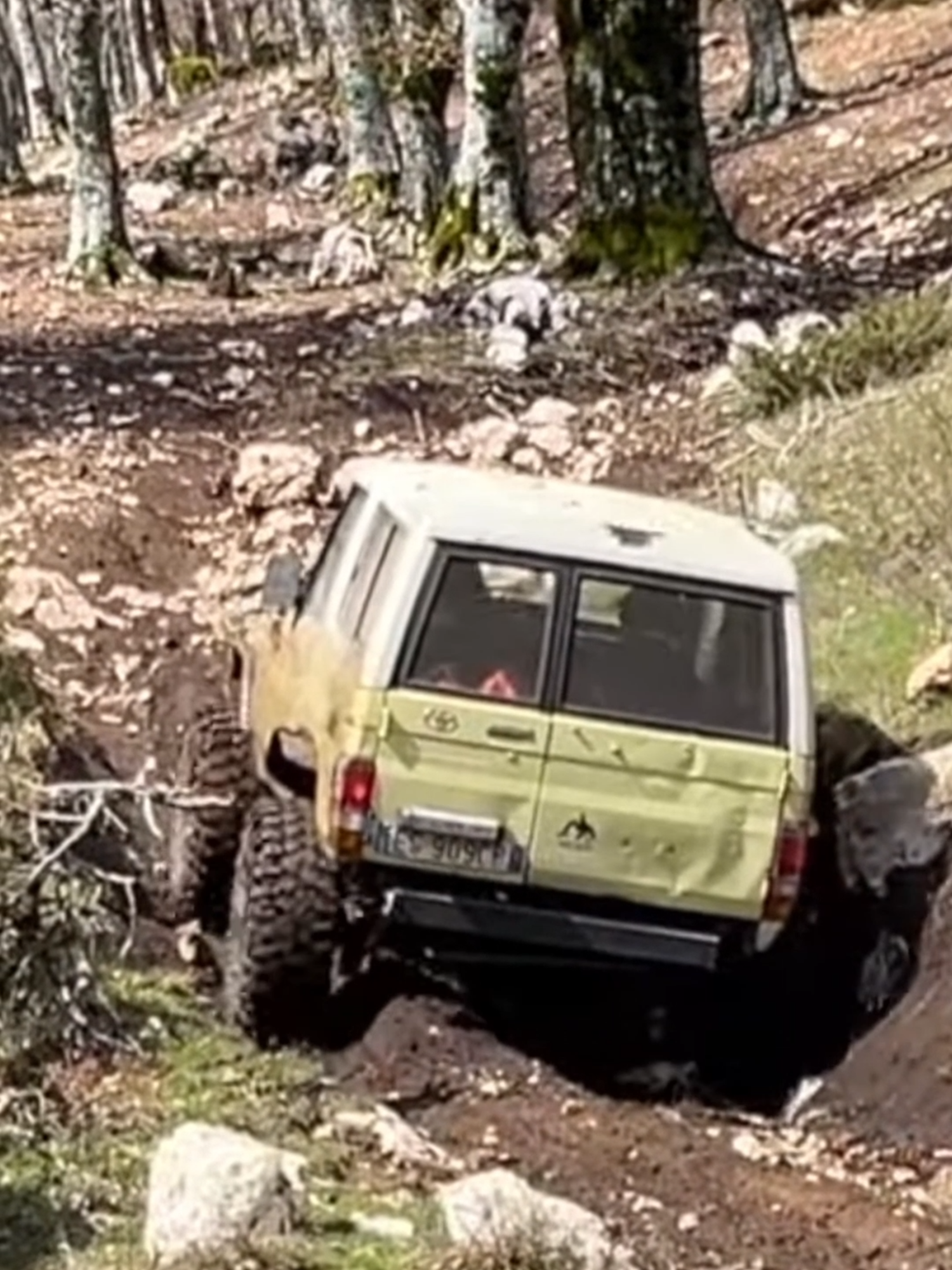 @4wd Around The World