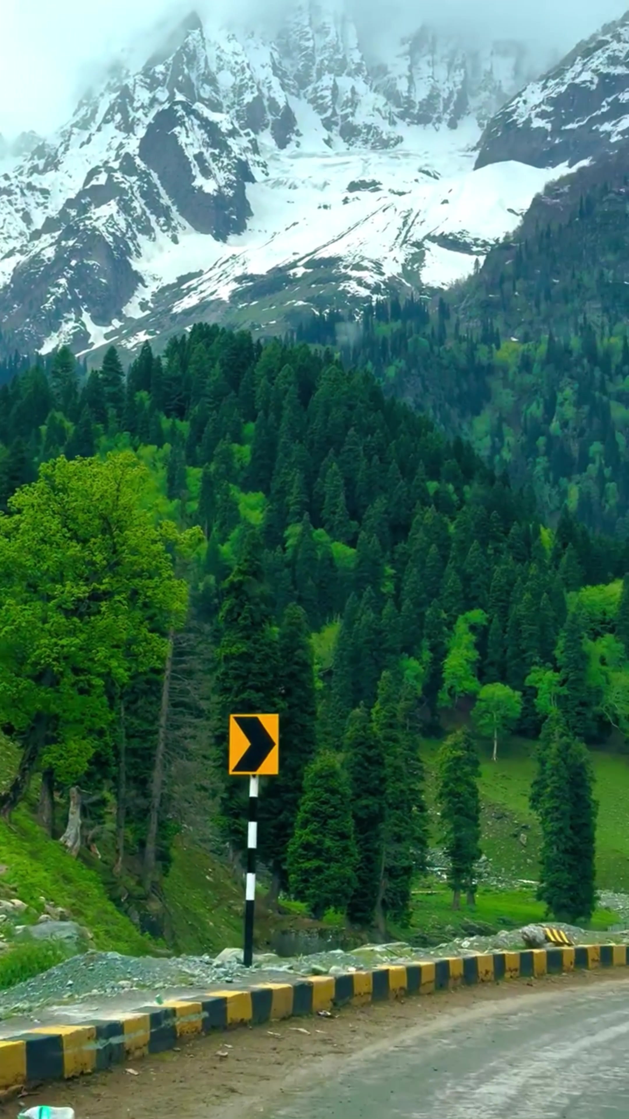 @World 🌍 beauty