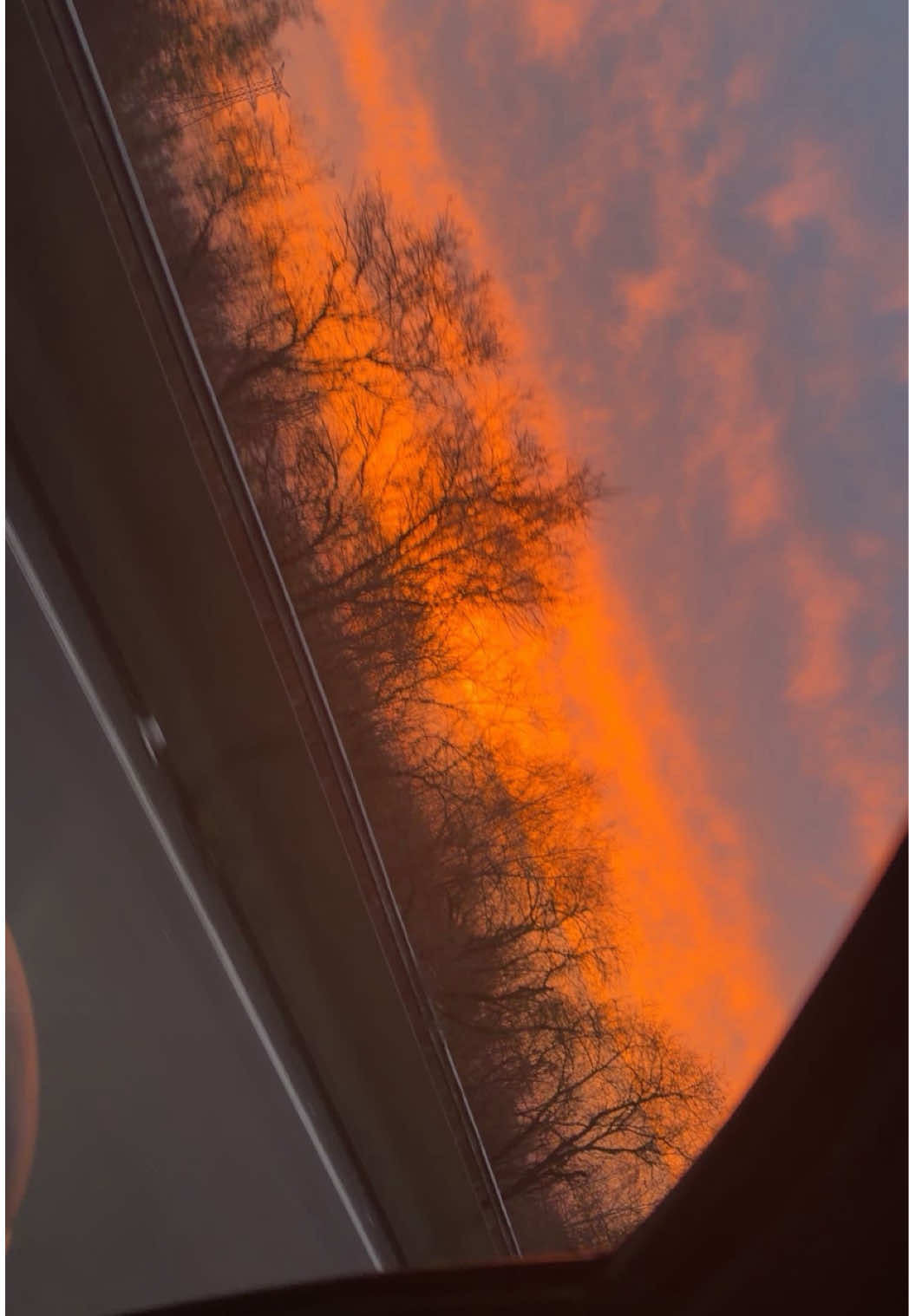 @Célia 🌺
