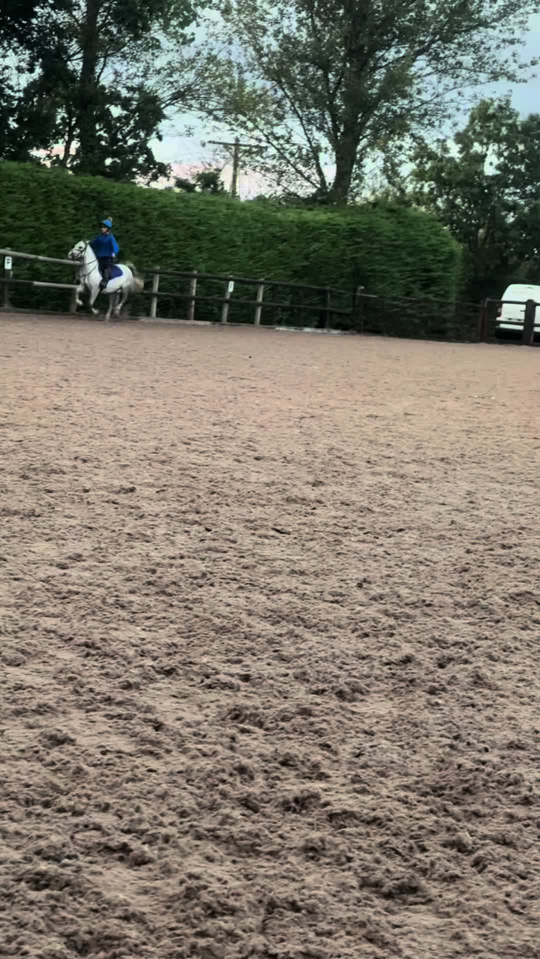 @poppy 🌾🐴 🇬🇧
