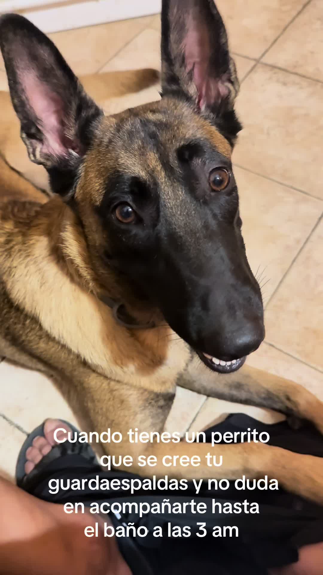 @Lobalobita