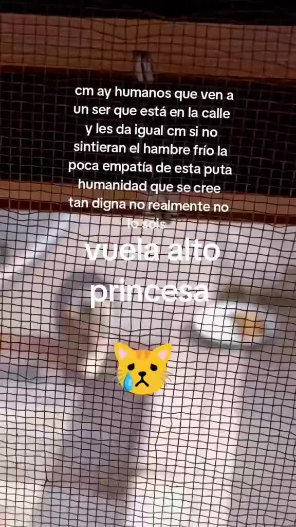 @Vero Jimenez Ferrer