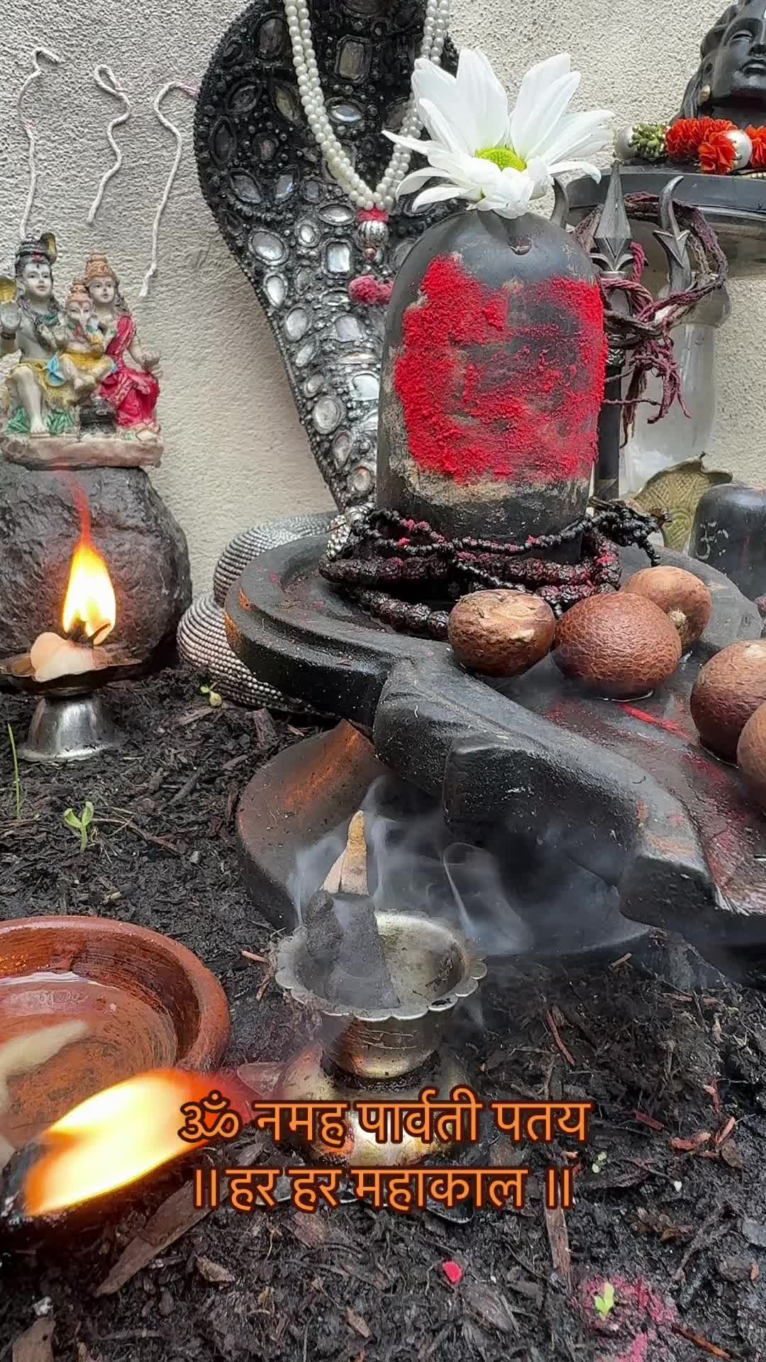@ਵਲੈਤੀ ਪੰਜਾਬਣ sukh/ਸੁਖ