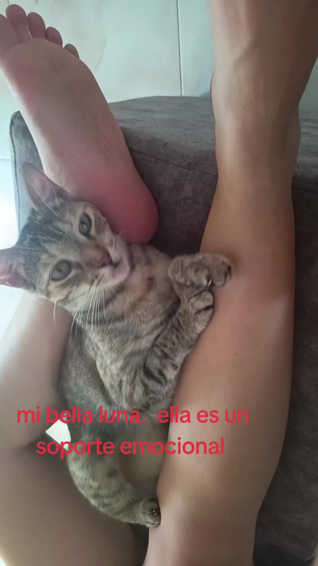 @Dania Olivares