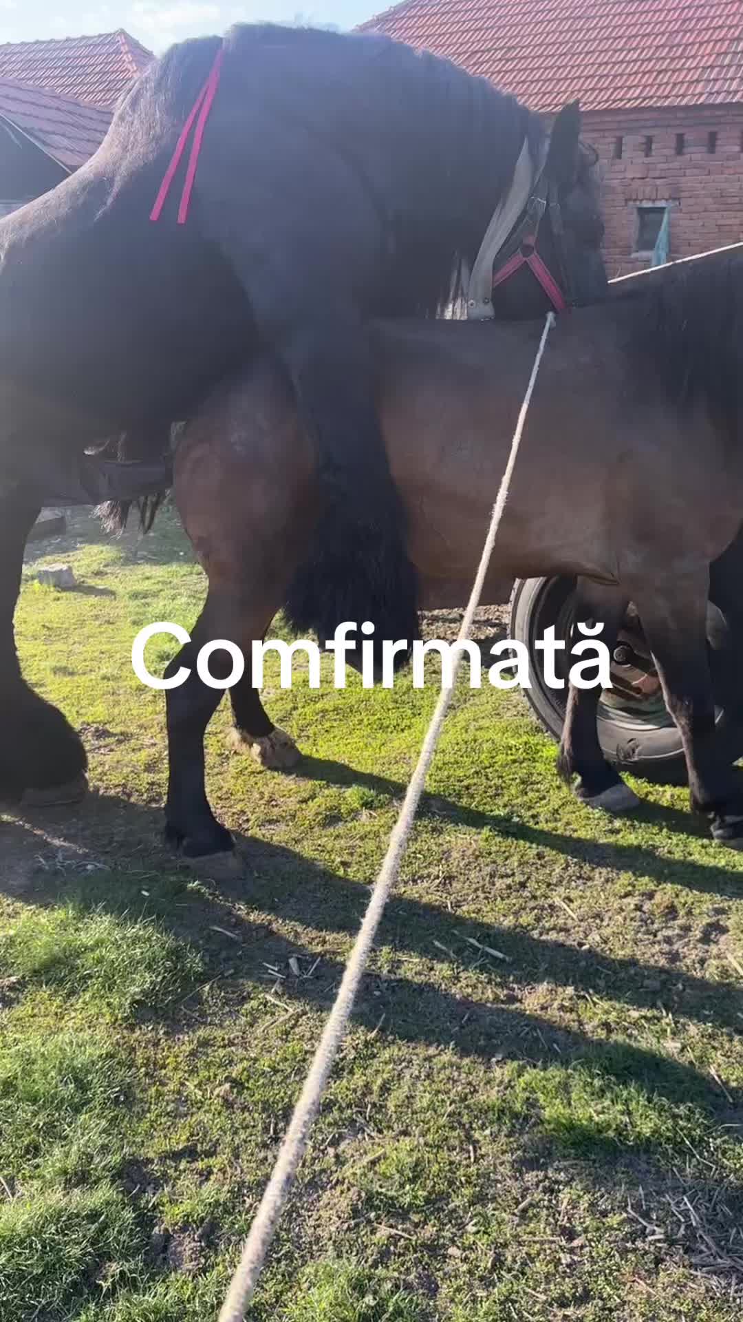 @Cristi Cristian