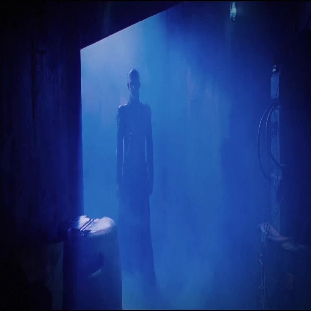 @𝑫𝑴𝑽𝑹