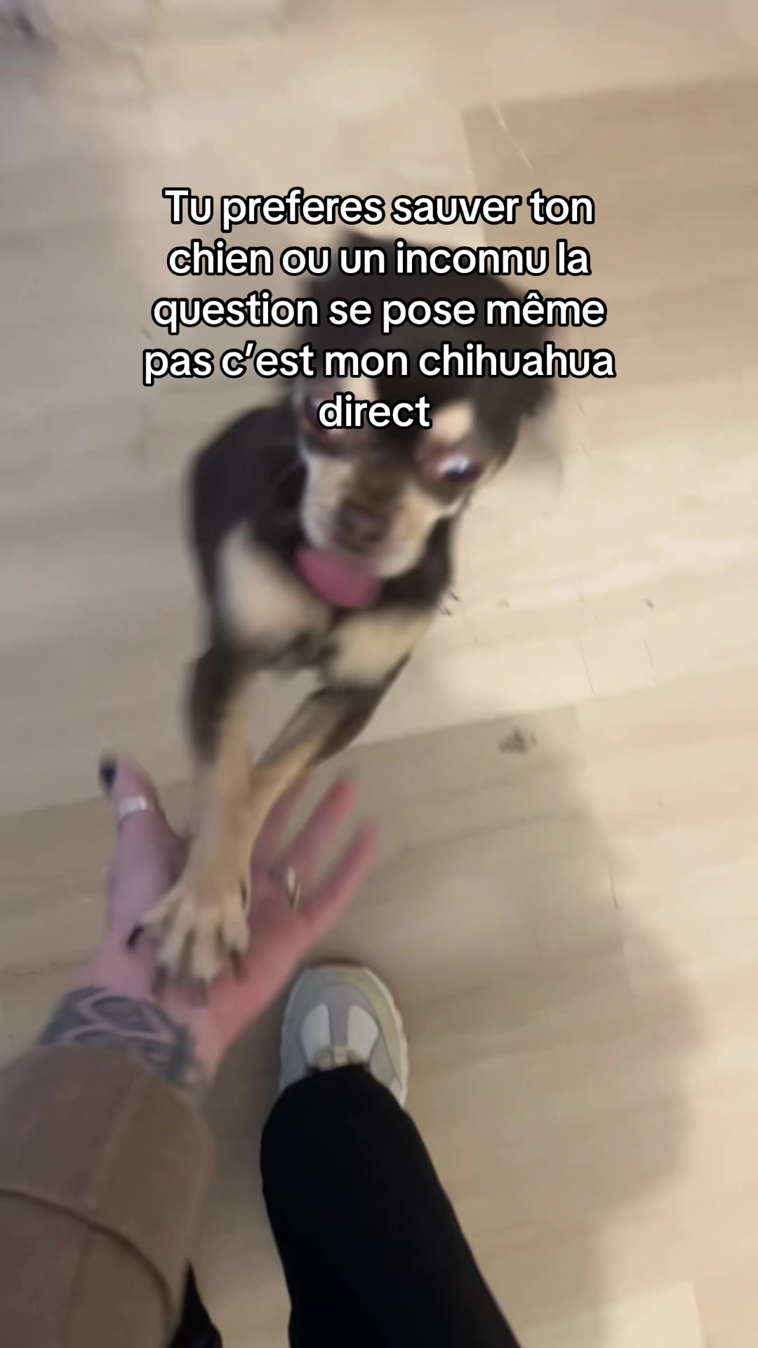 @Marionette