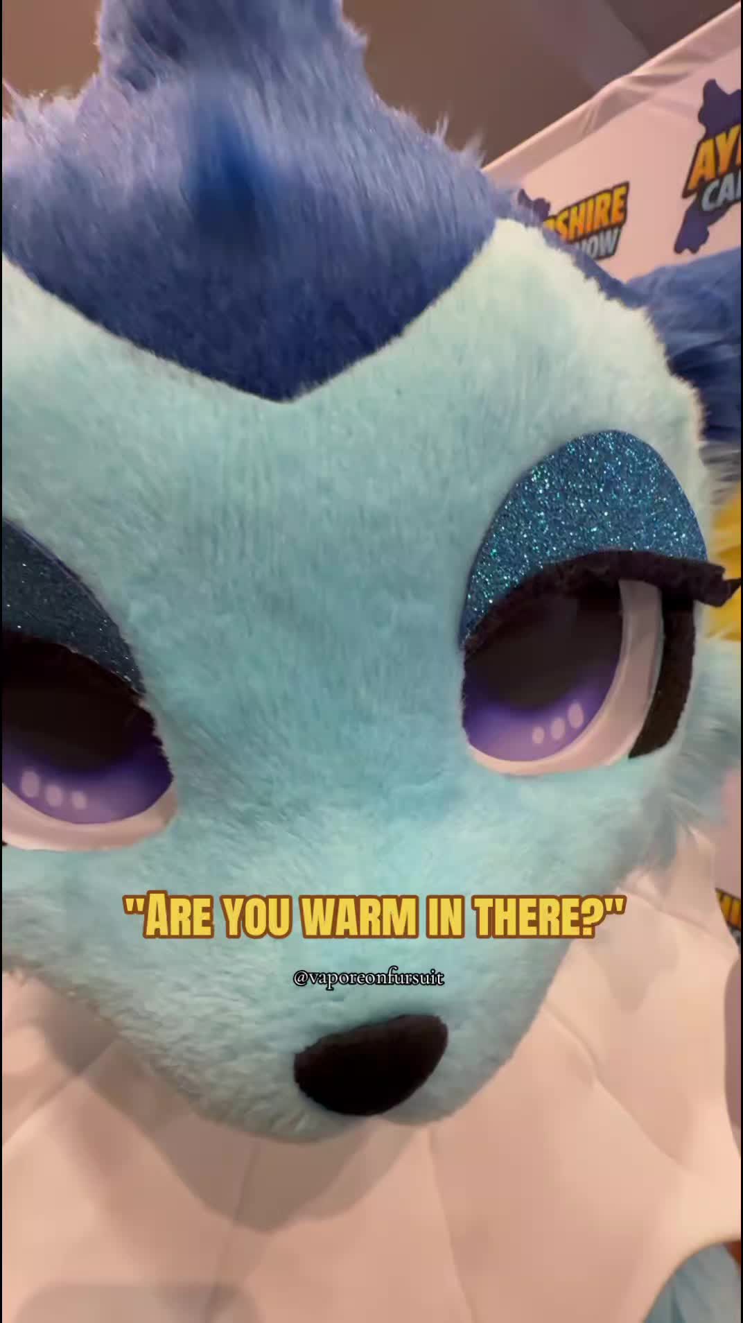 @River the Vaporeon 💧