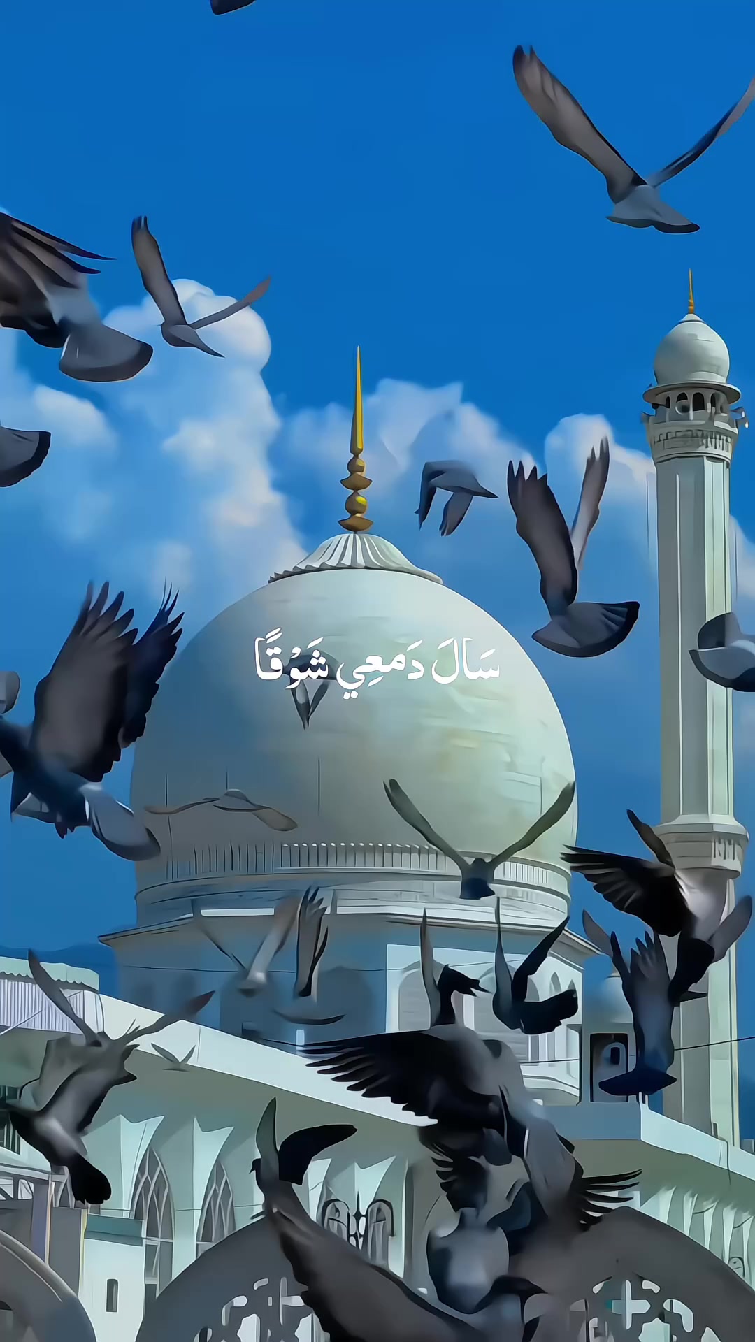 @Noor-e-Hidayat_ نورِ ہدایت